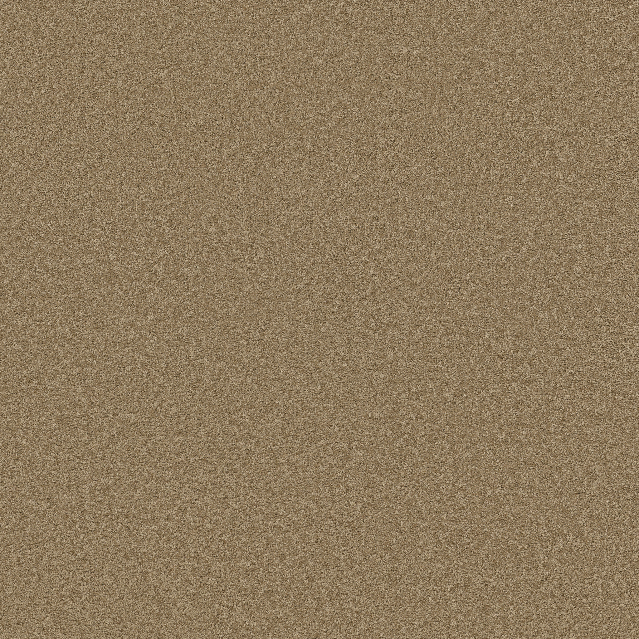 LOYAL BEAUTY III TWIG MAIN