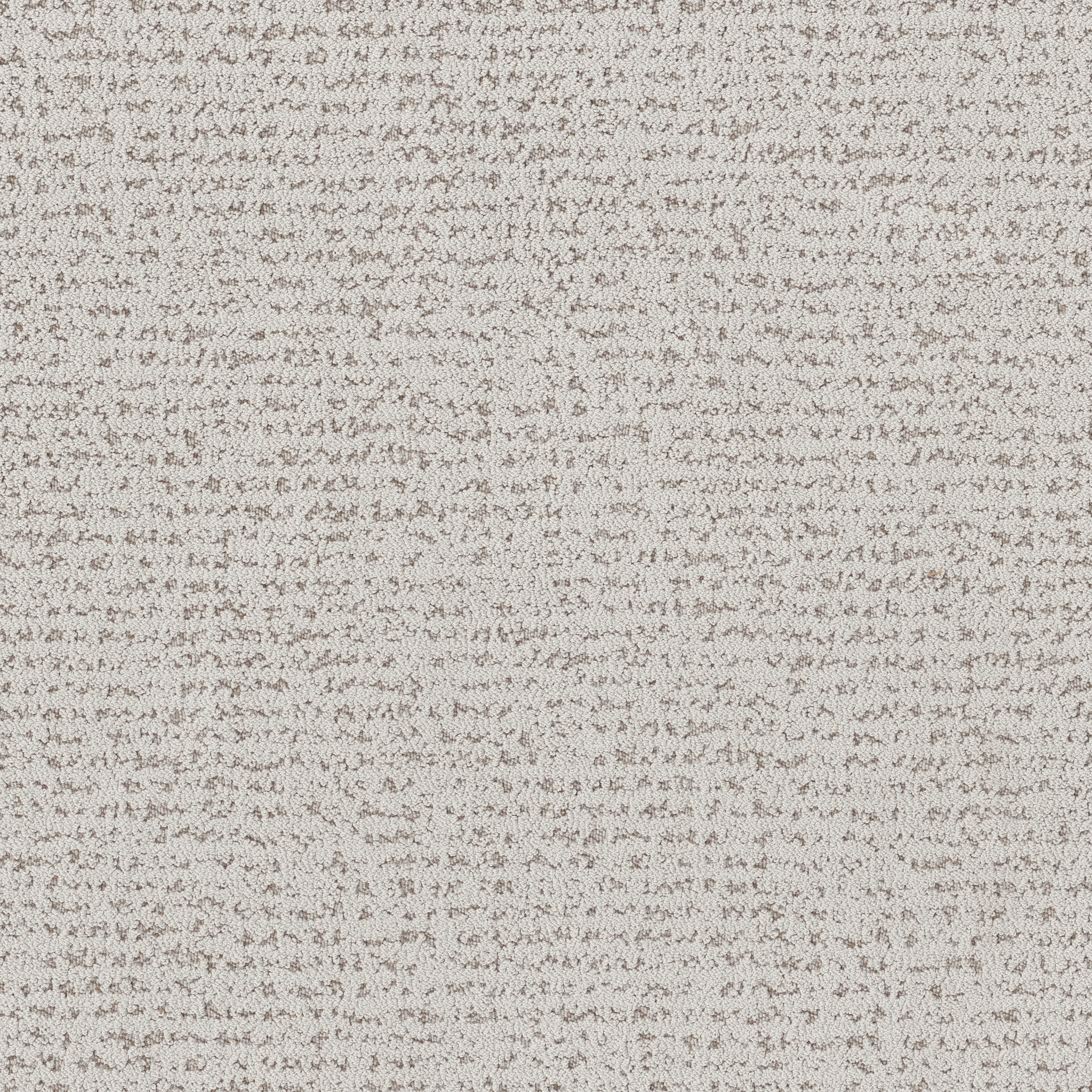 TANGENT GREY FOX MAIN