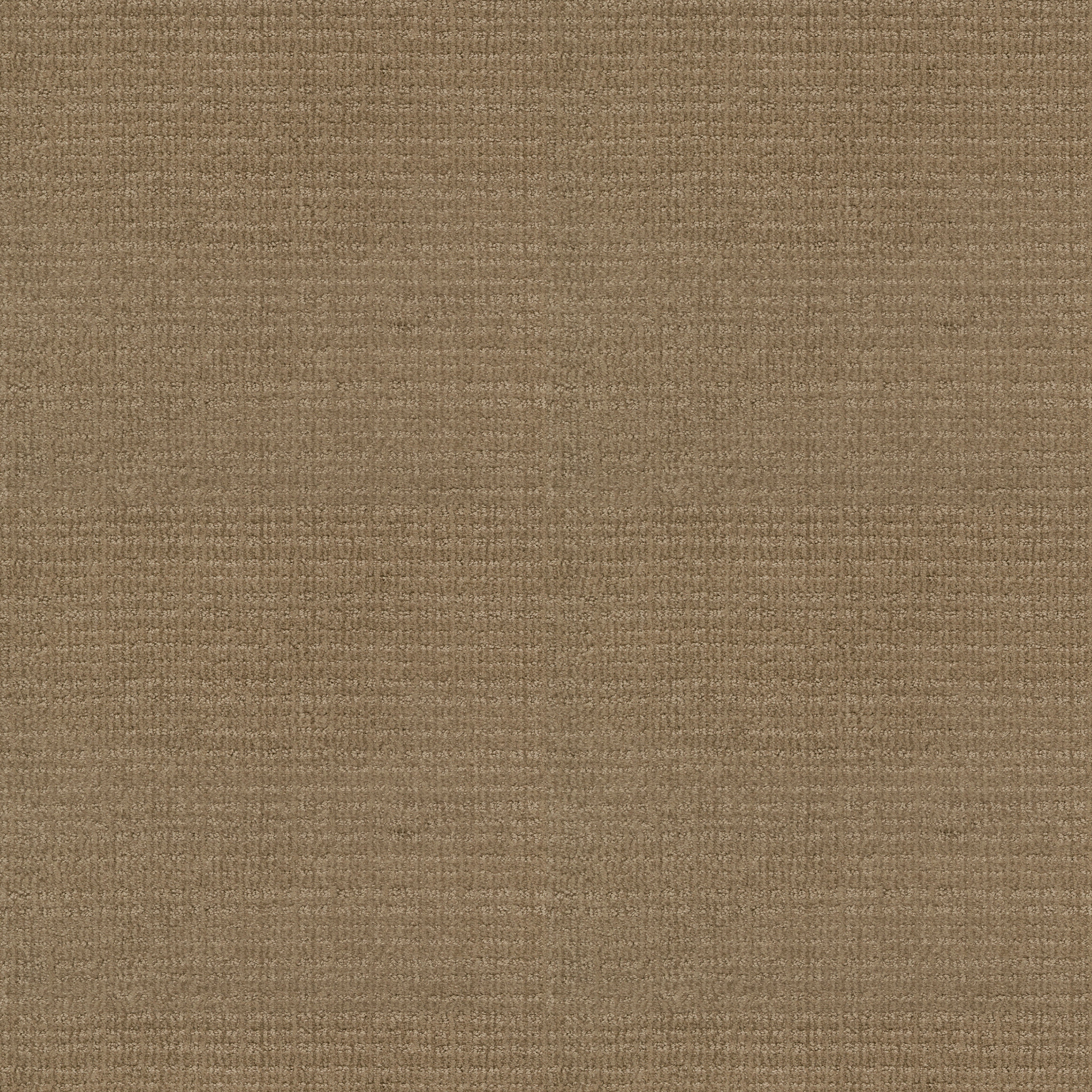 SENSIBLE NOW GOLD RUSH MAIN