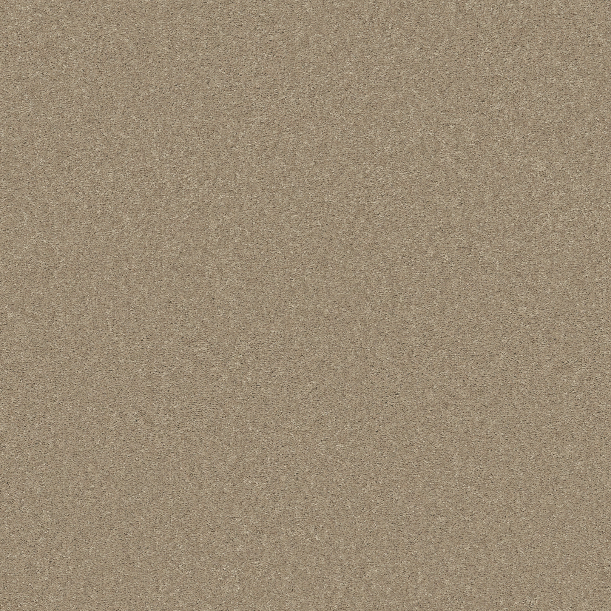 BEAUTIFULLY SIMPLE I 15' ALMOND BARK MAIN