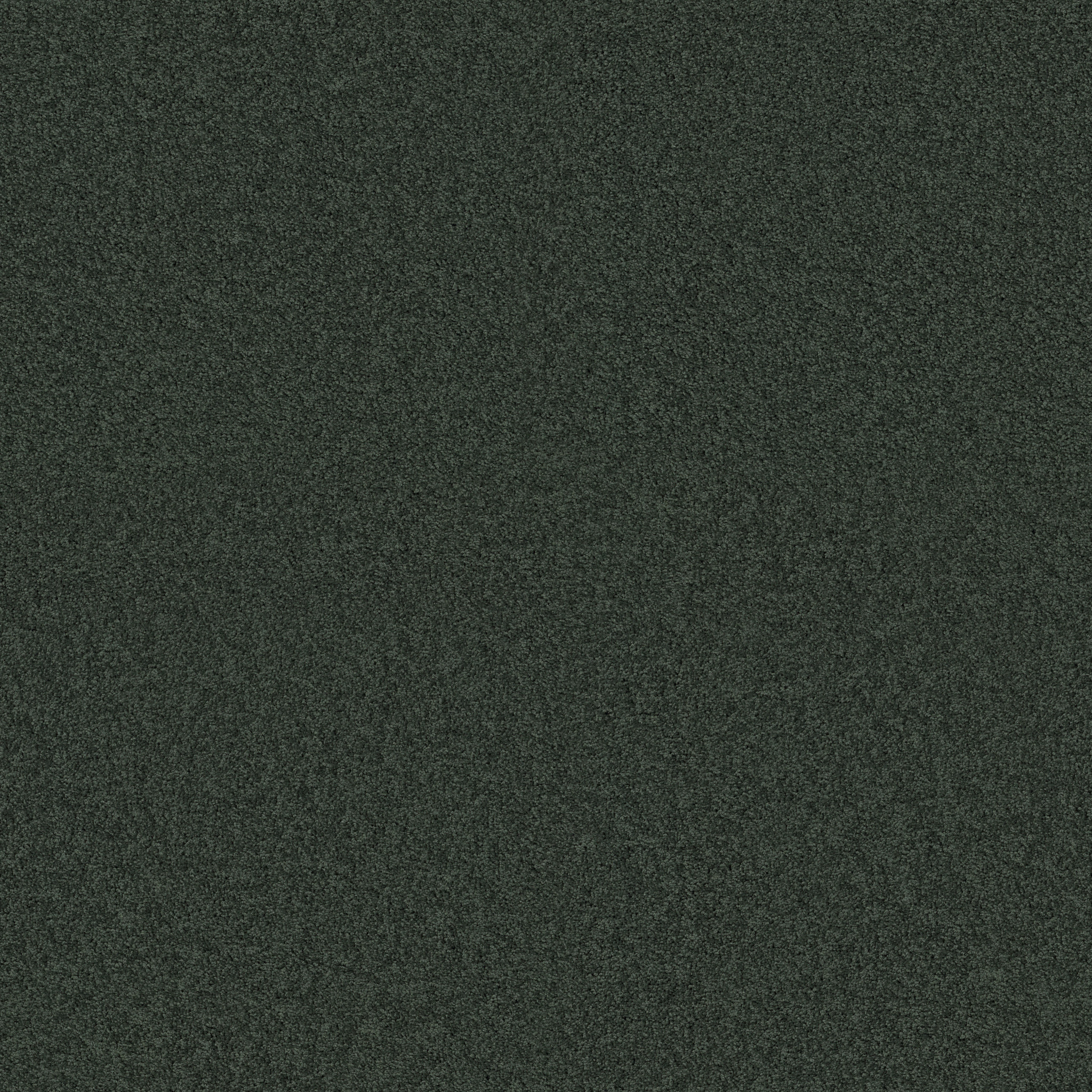 MY DESTINATION I PEACEFUL GARDEN MAIN