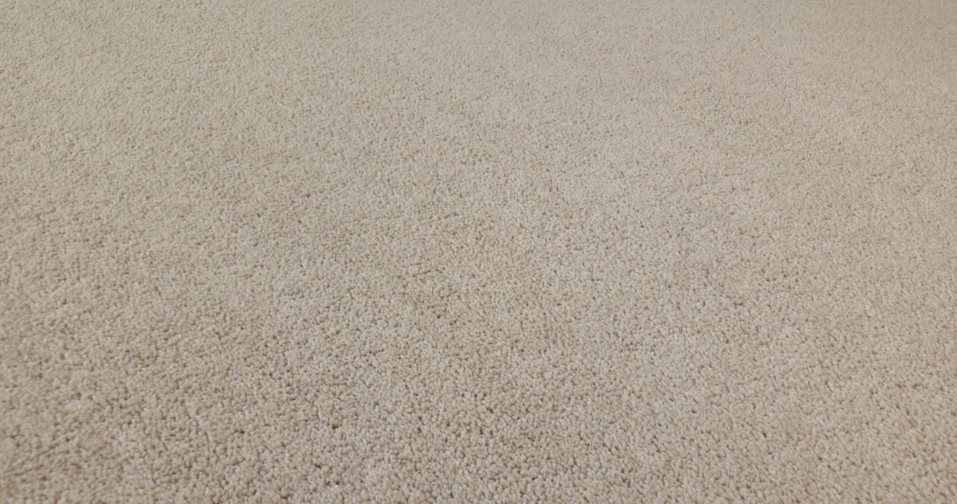 VIVID TOUCH I DUNE VIEW 360PROD