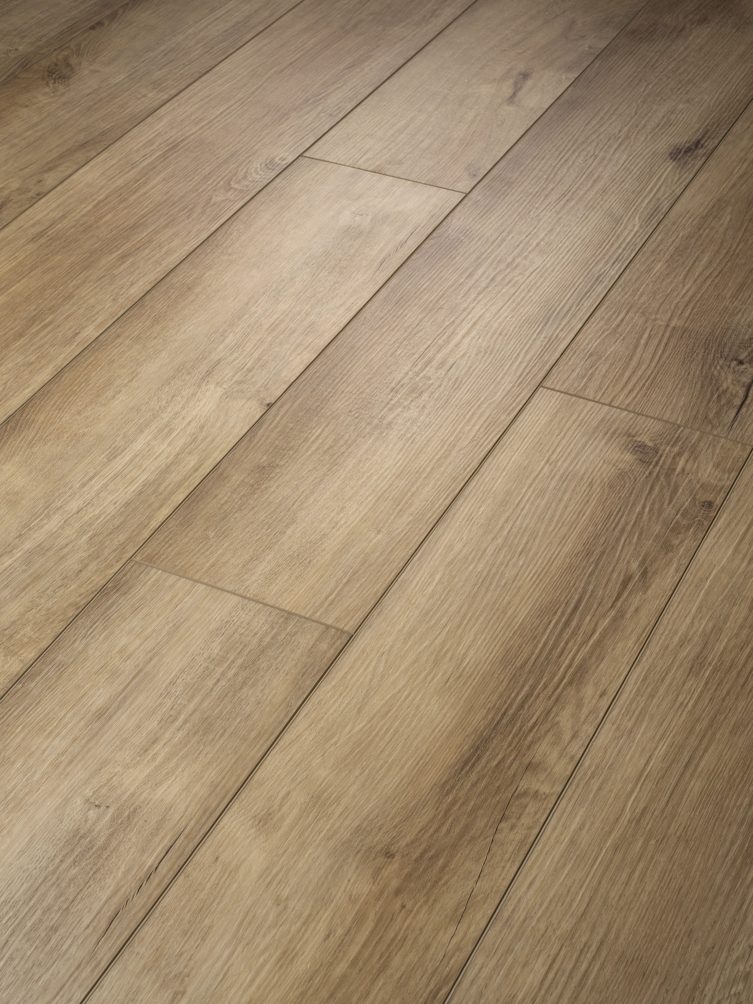 PALADIN PLUS MARINA ANGLED