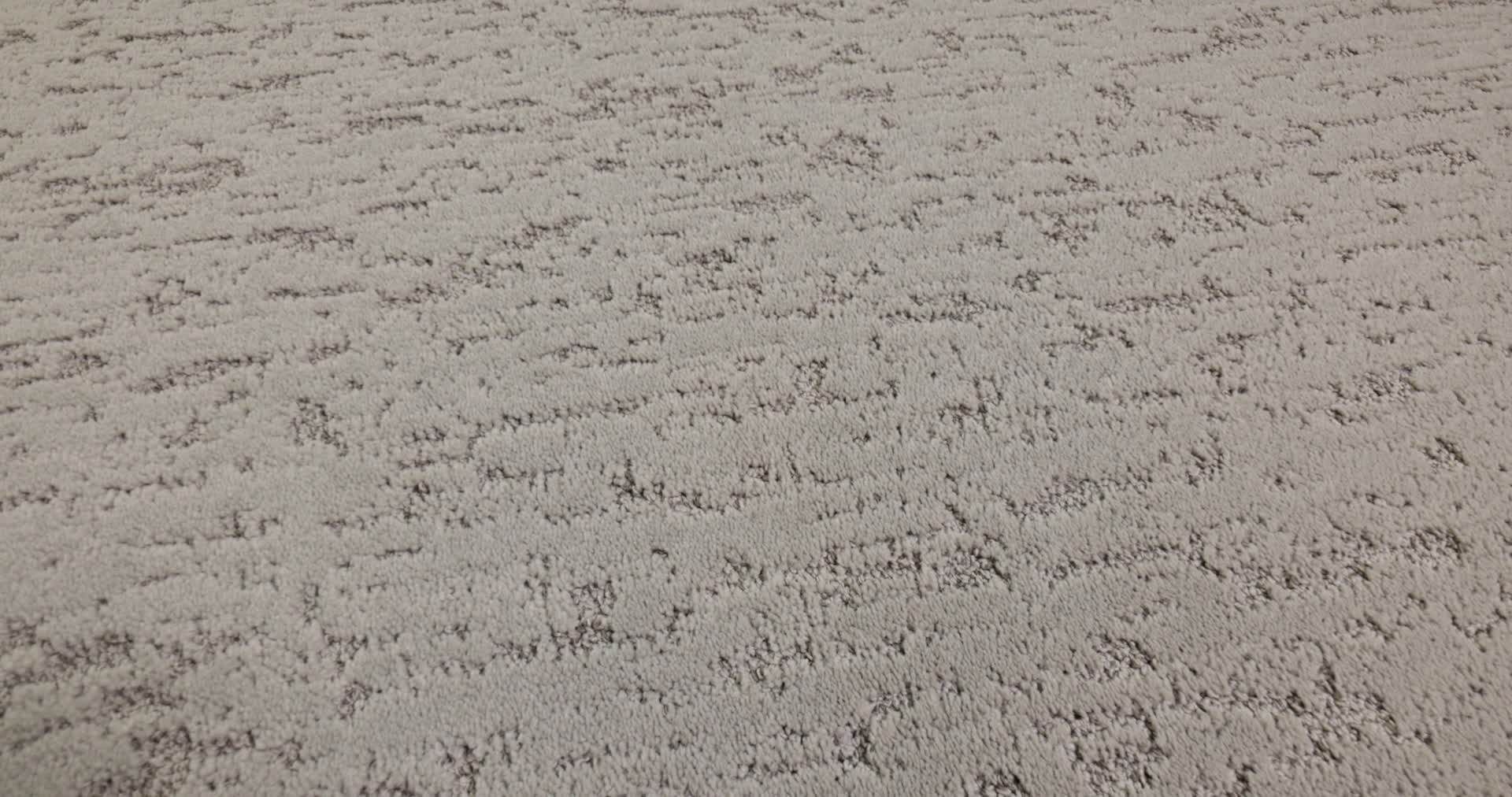 CALM EXPRESSION MUSHROOM 360PROD