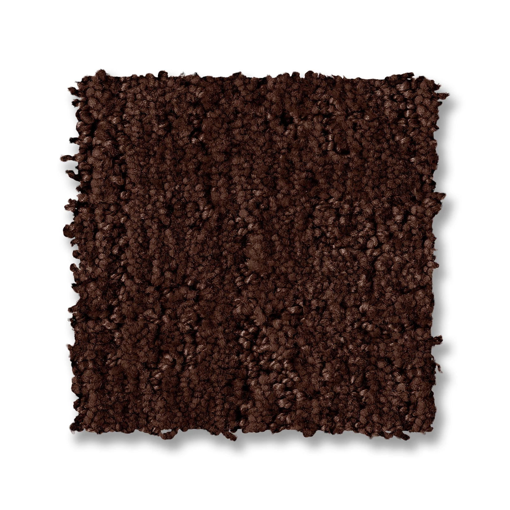 INDULGENT MOROCCAN SWATCH