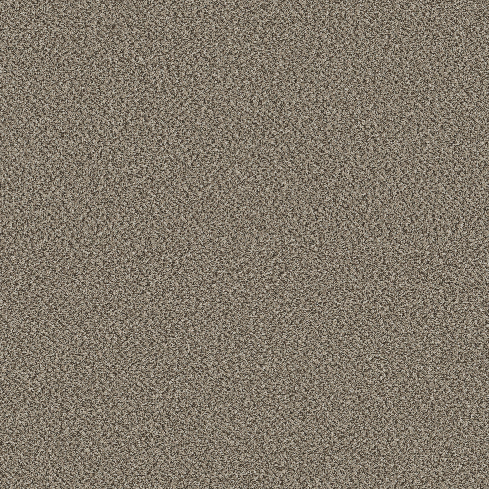 HIGH IMPACT B FAIRVIEW MAIN