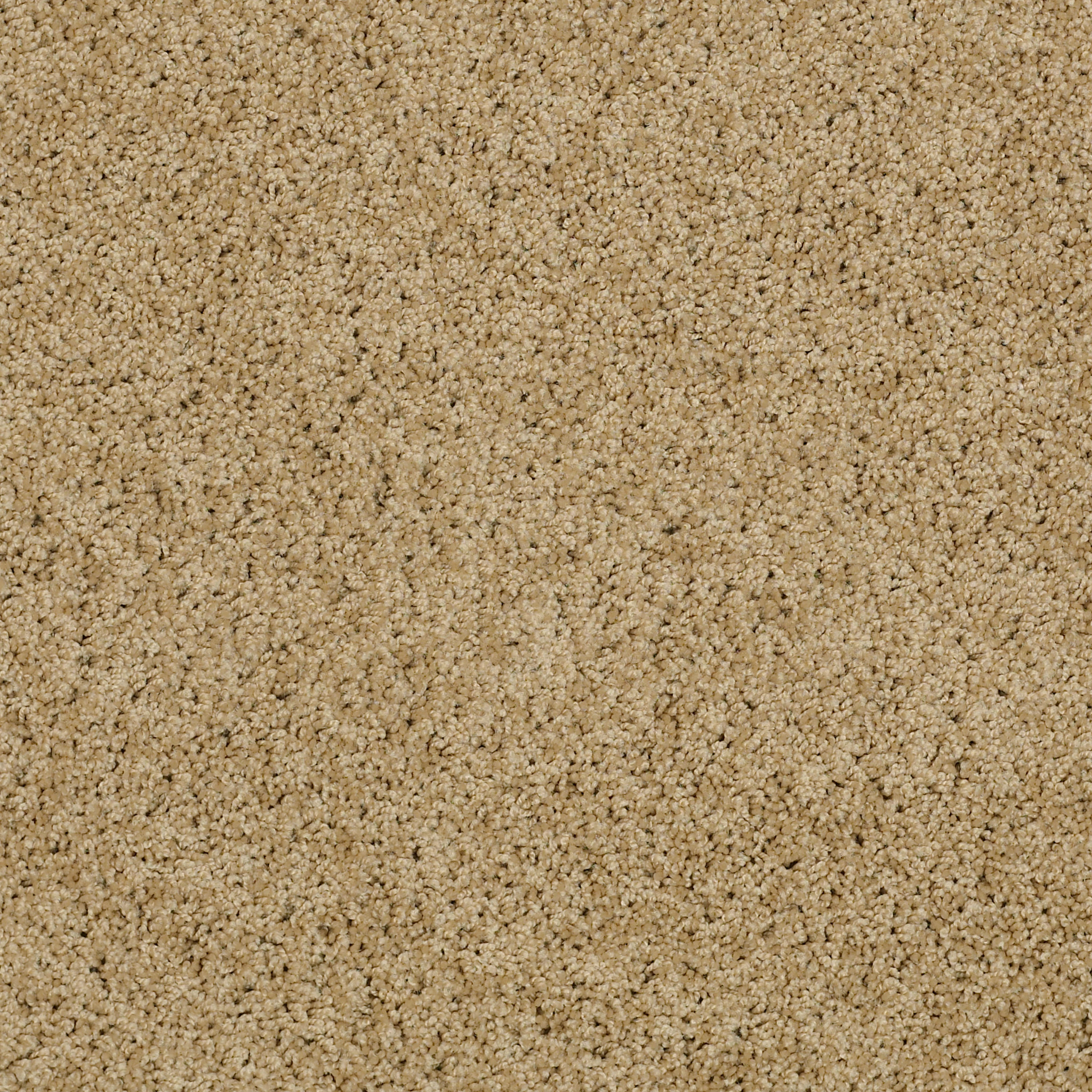 ENDURING COMFORT II TAFFETA MAIN