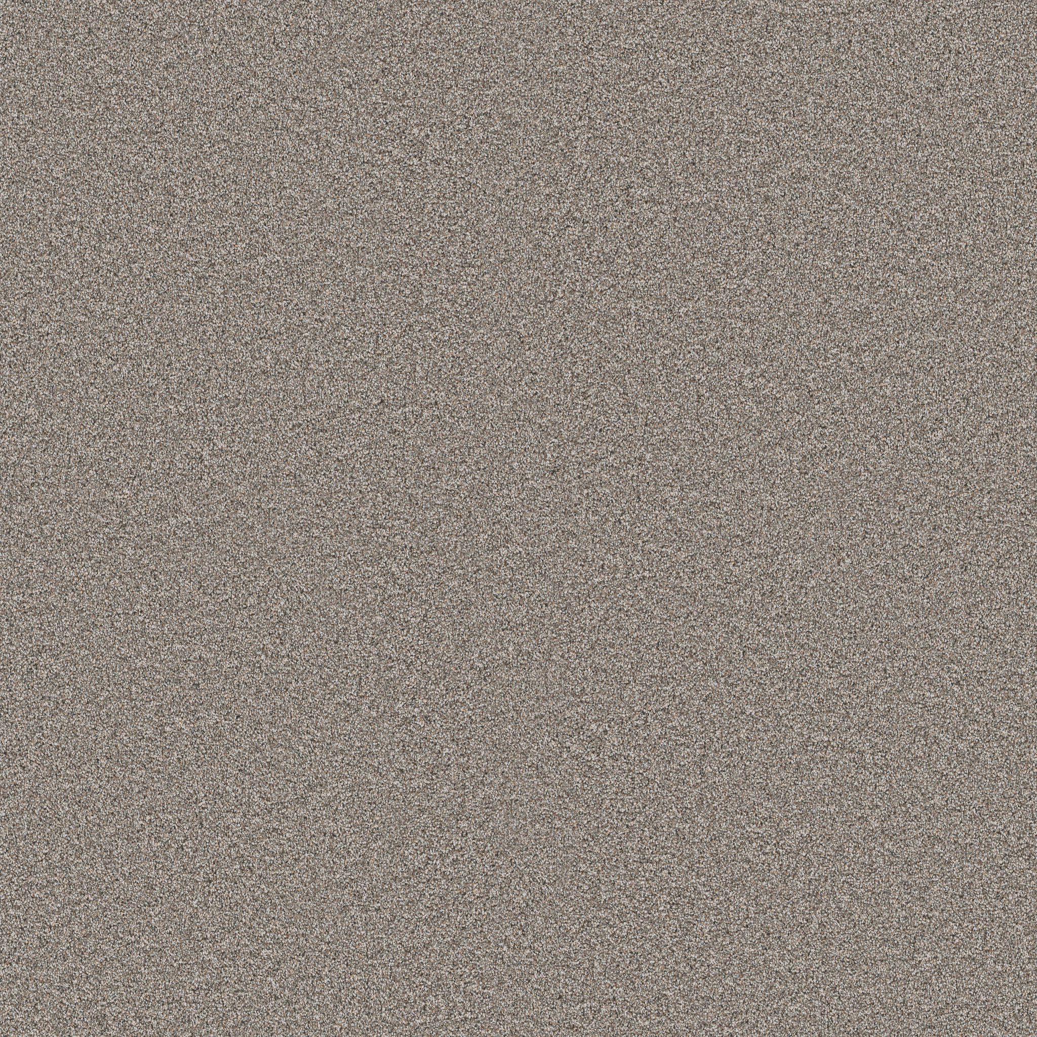 TIMELESS TONE RIDGELINE MAIN