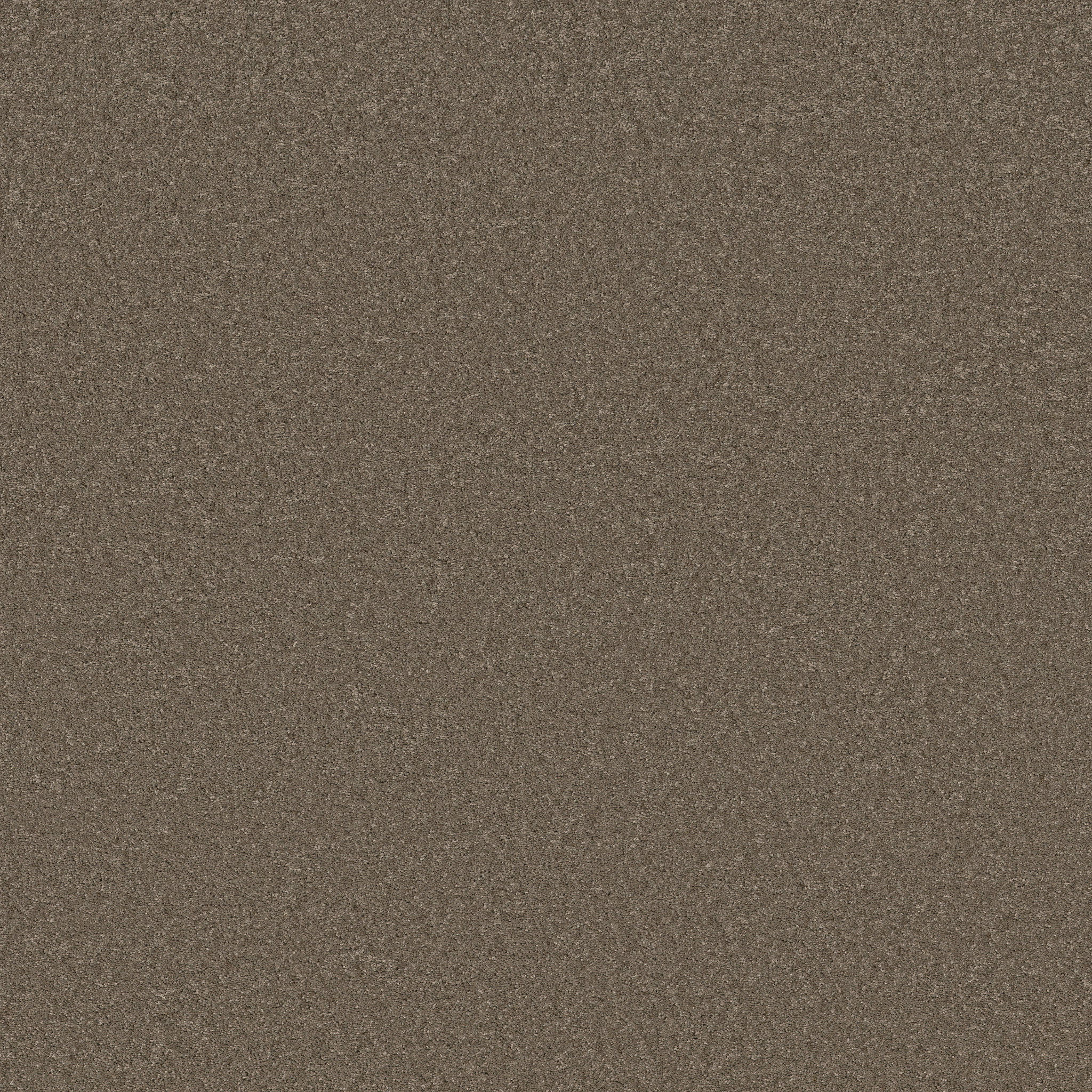 ENCHANTING MOONBEAM MAIN