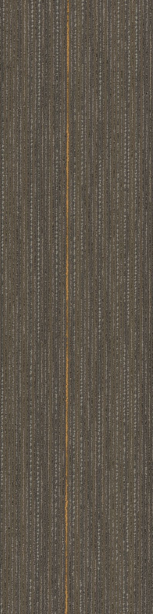 STELLAR-54902-FORMATIVE-00700-main-image