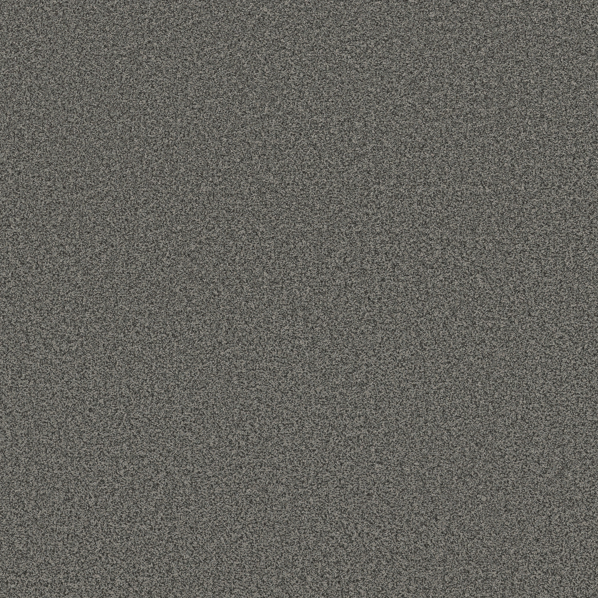 Gray　DESPERADOⅢ 157cm 14/15 GRAY DESPERADO III 157 (おまけ付き)