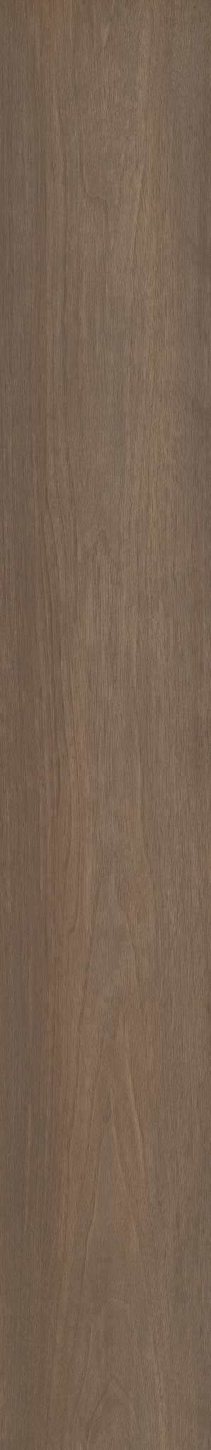 PARAGON HD+NATURAL BEVEL GABLE 1TO1