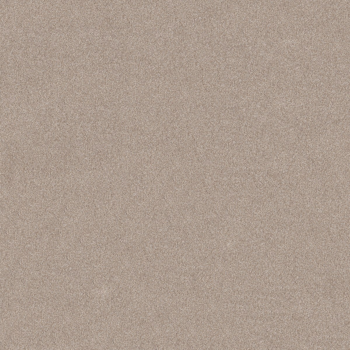 Shaw Floors VIVID TOUCH II — BAJA