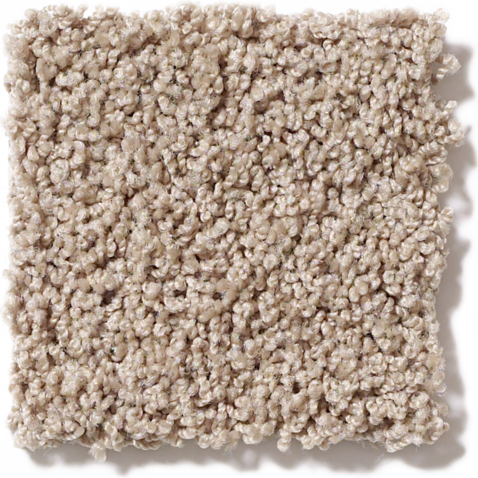 WINTERS HOME STORM SWATCH