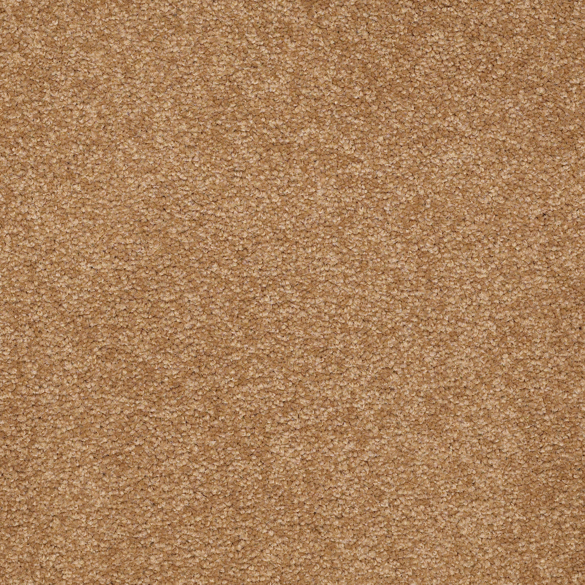 ULTIMATE EXPRESSION 12' PEANUT BRITTLE MAIN