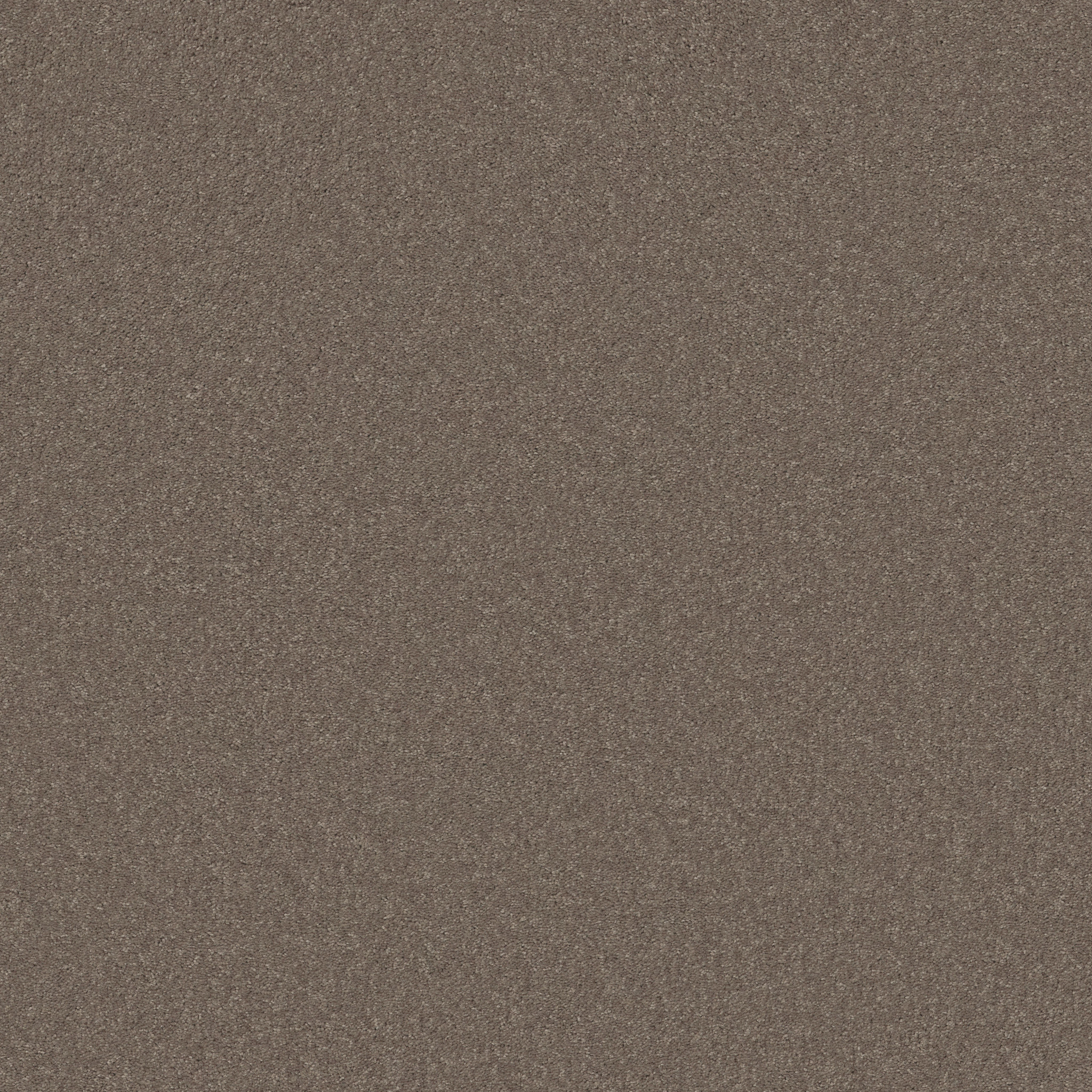 BEAUTIFULLY SIMPLE II 15' MOCHA FROST MAIN