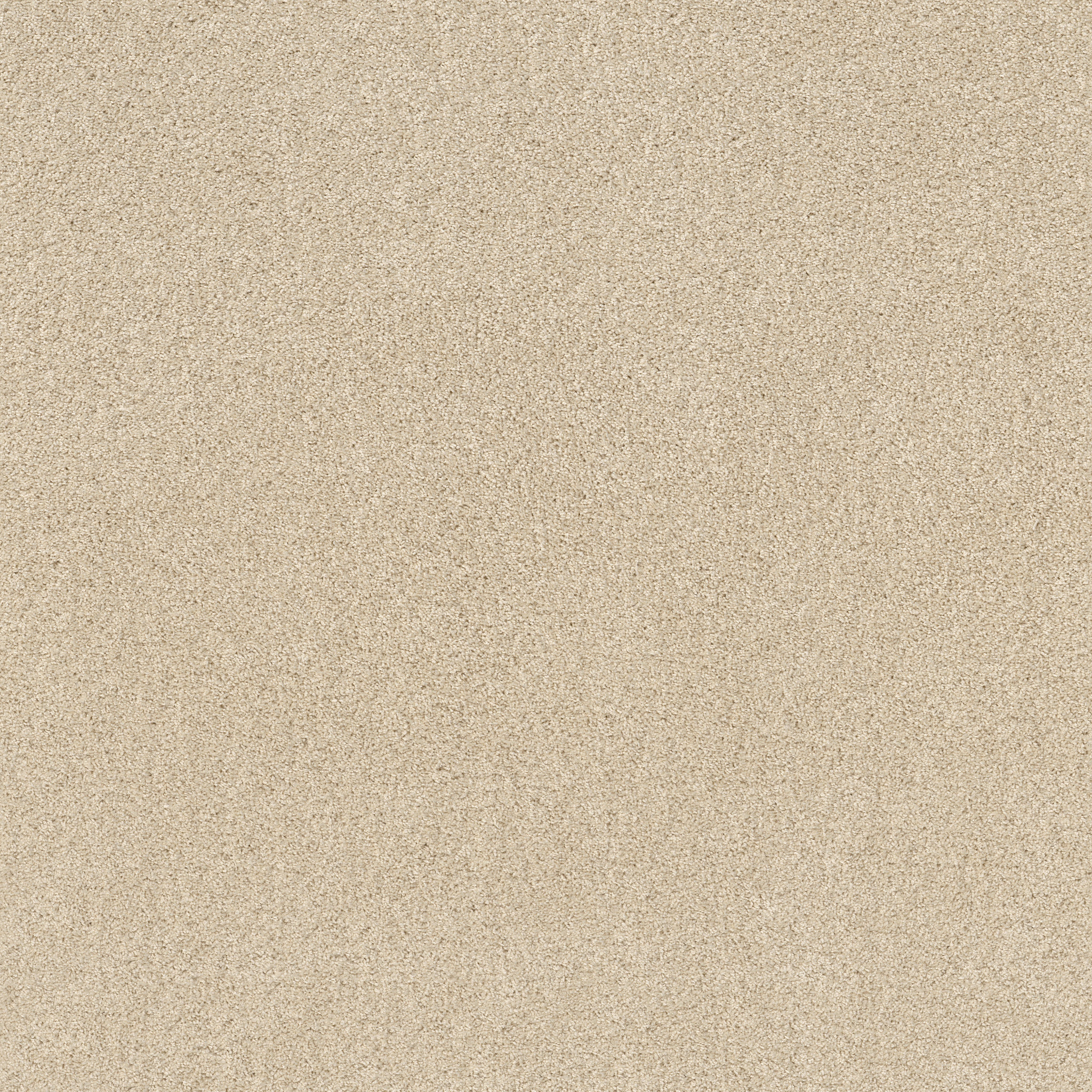 EMBARK WINTER WHITE MAIN