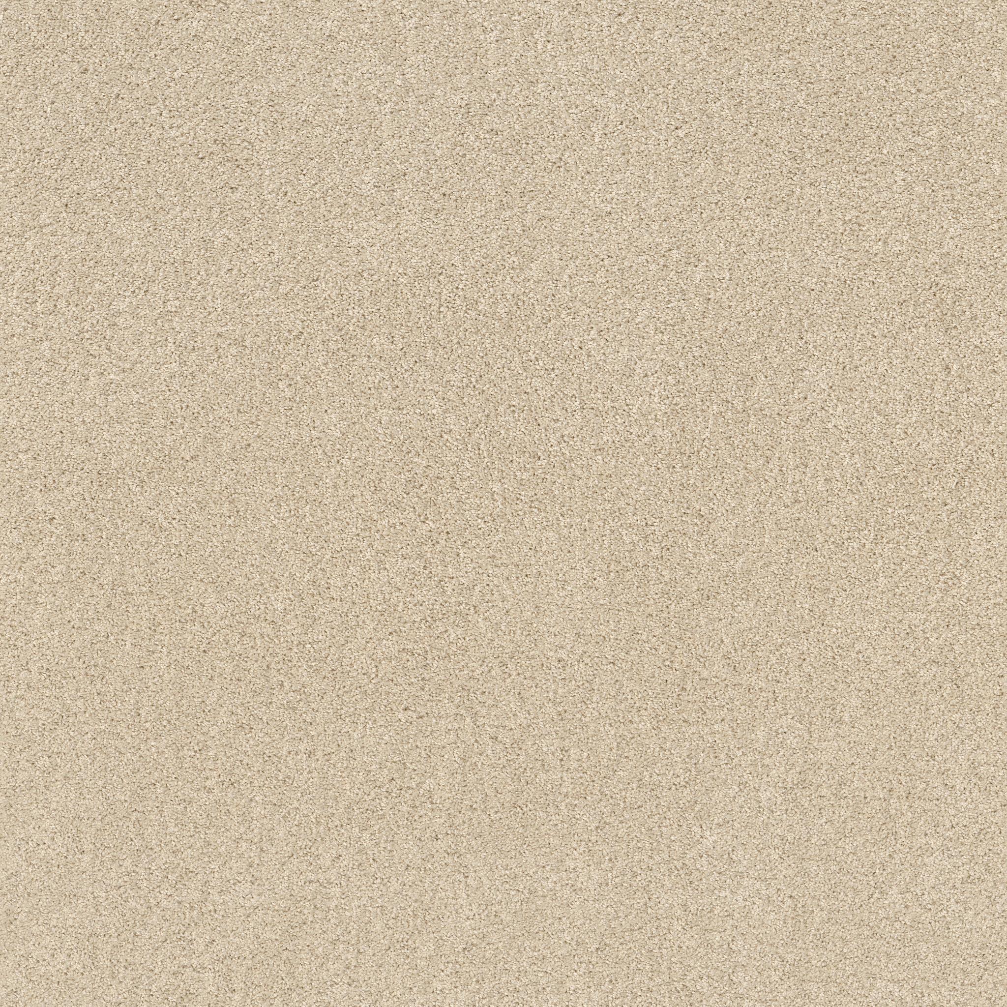 Embark in Winter White
