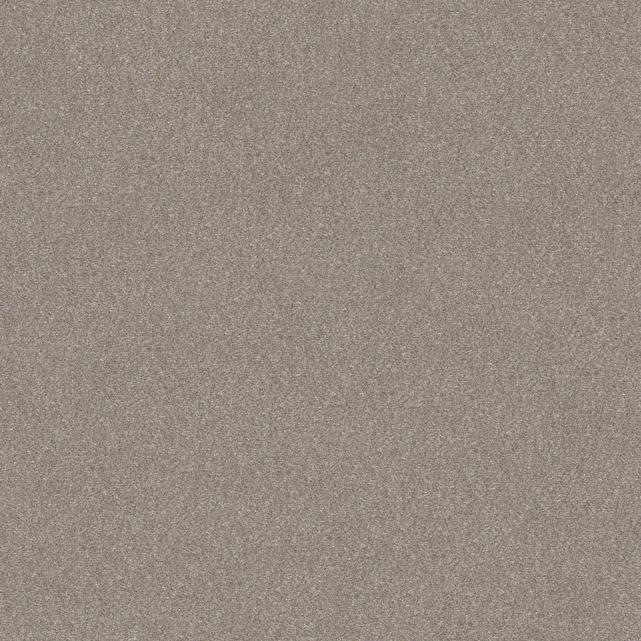 WITHOUT LIMITS II HEATHER MAIN