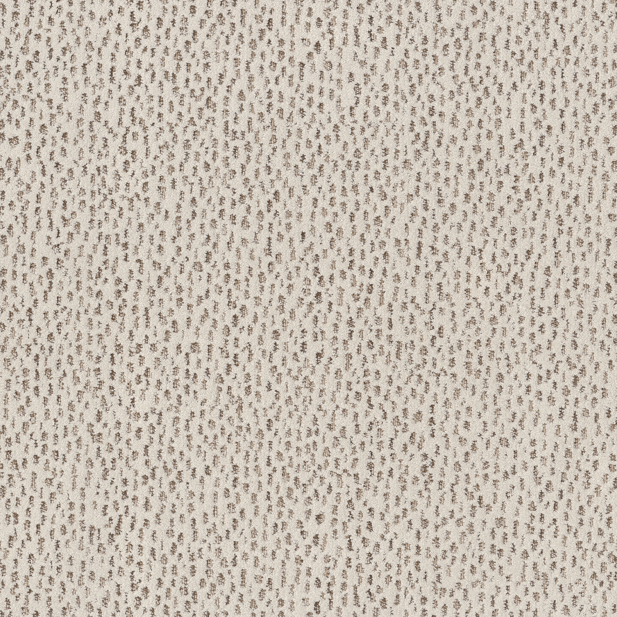 AMBITIOUS VINTAGE FIND MAIN