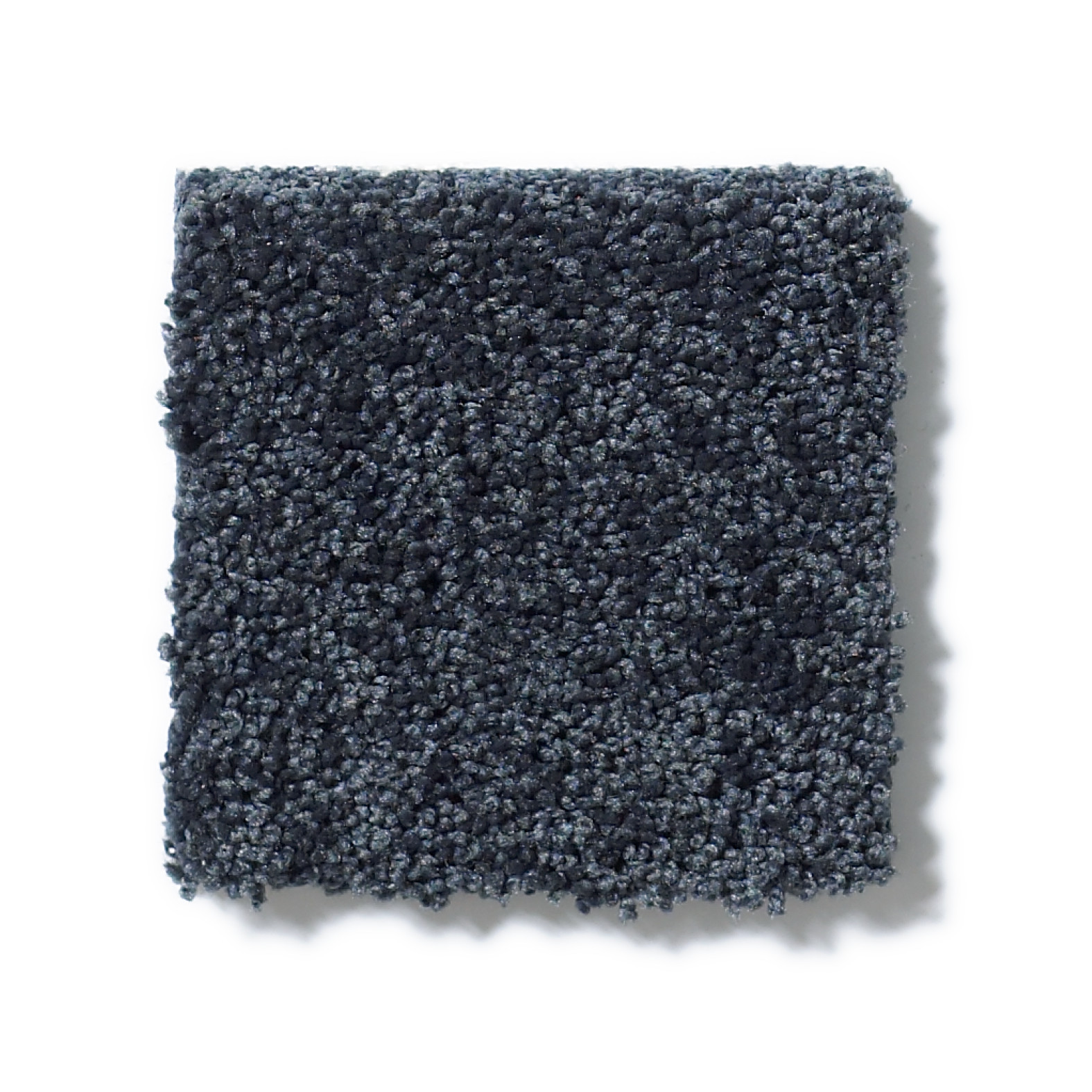 AG TIMELESS BLUEBERRY SWATCH