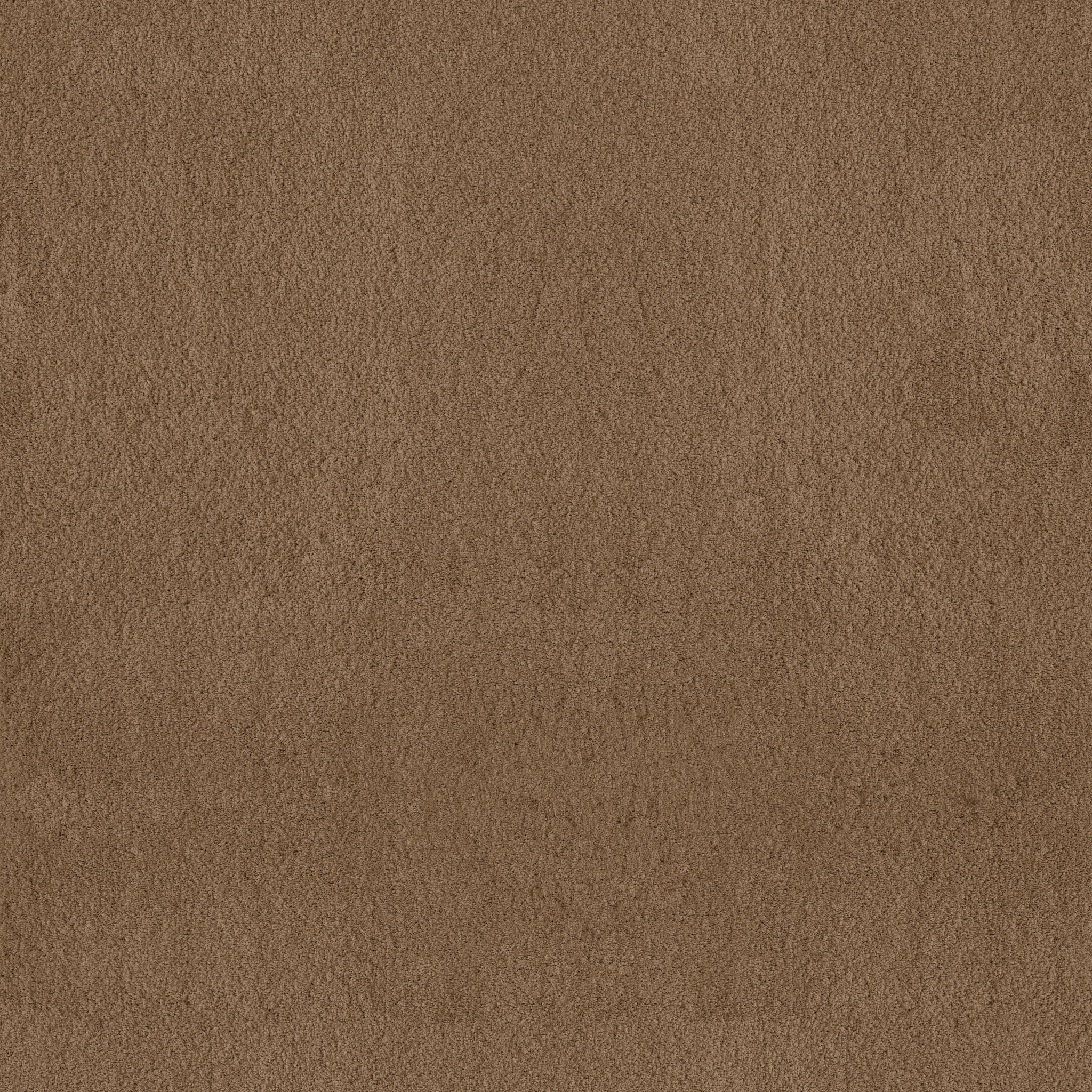 LUXE FEEL II DRIED CHAMOMILE MAIN