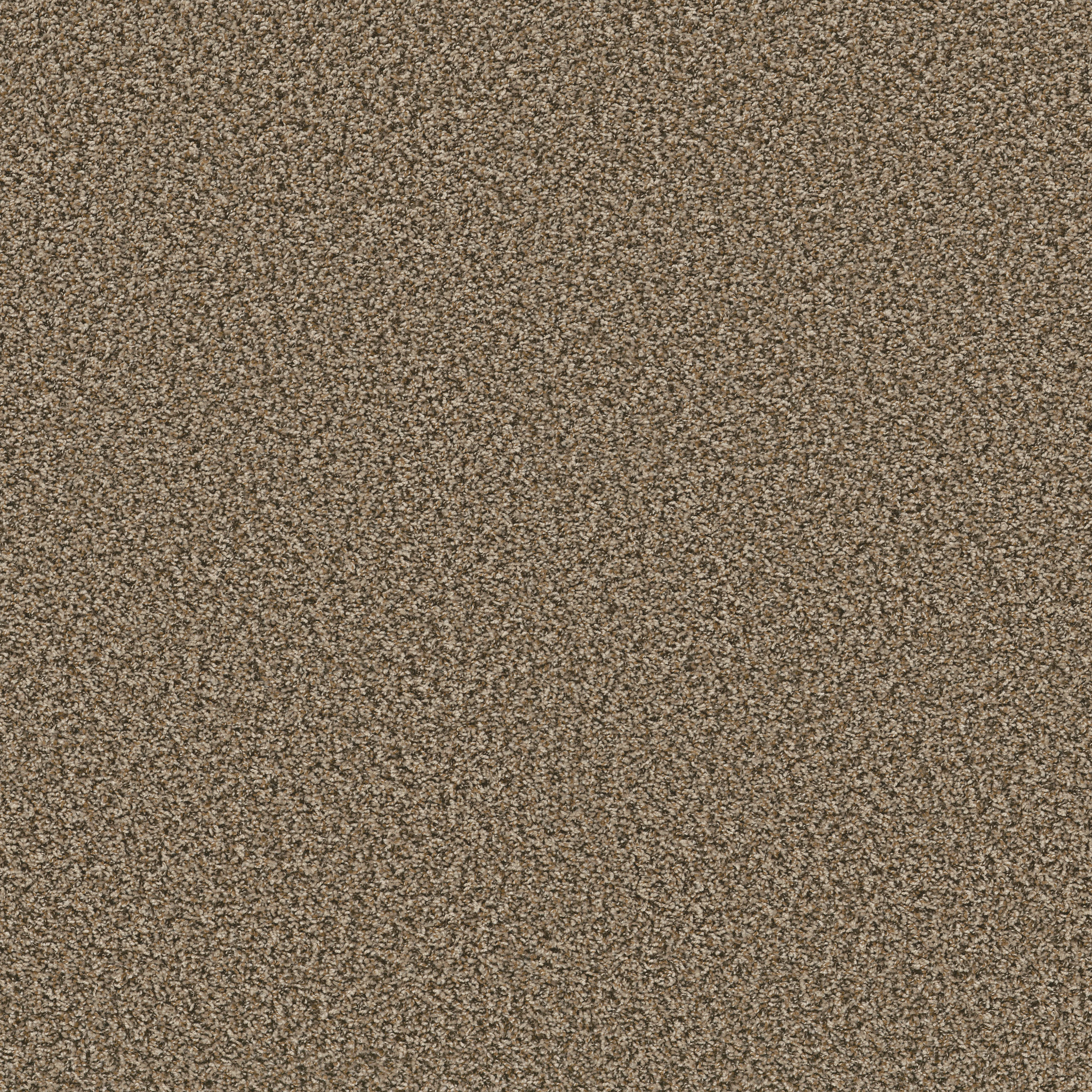 Break Away - Berber SAFARI MAIN