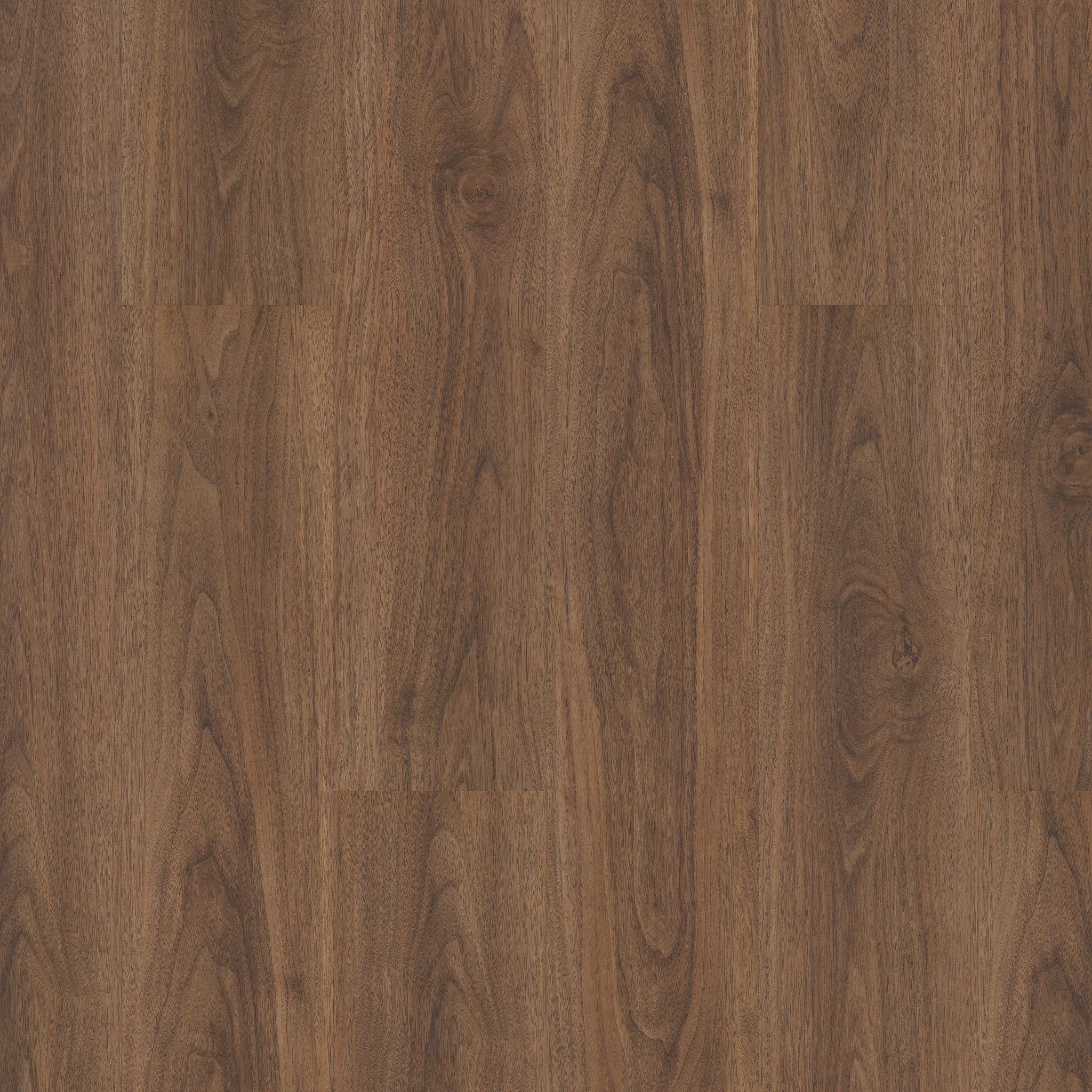CORETEC PRO ENHANCED VV492 ROCCA OAK MAIN