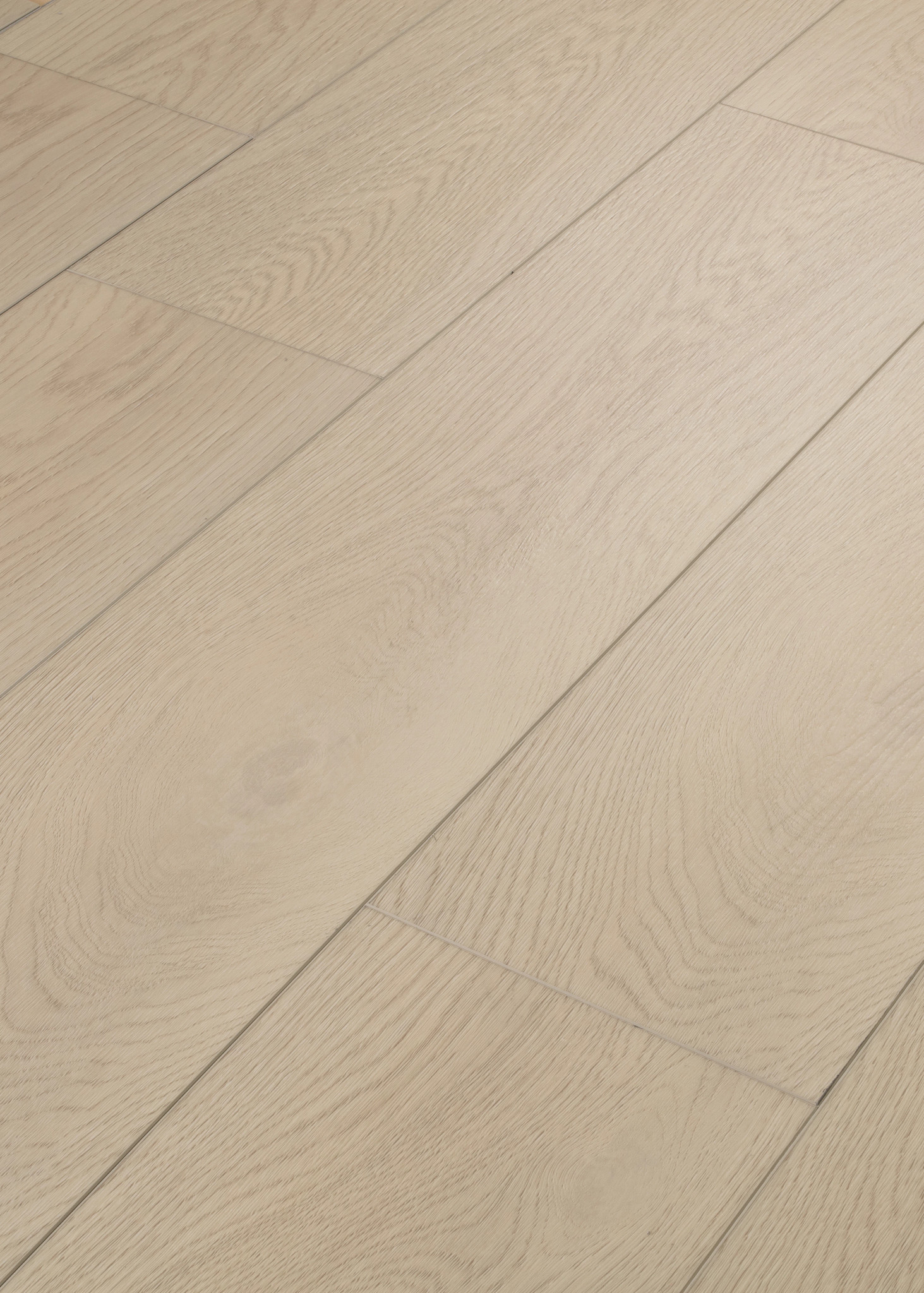 FRESH TAKE SHELL TAUPE ANGLED