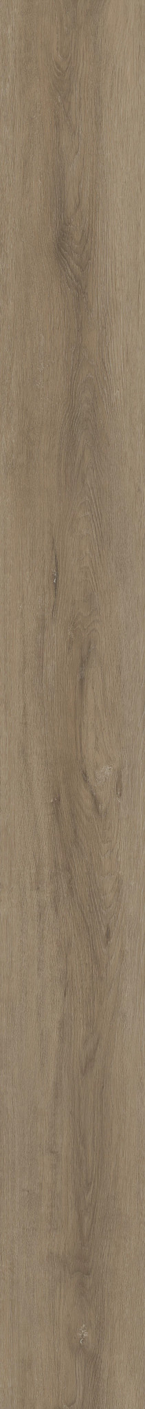 GRANDE ELLIDY OAK 1TO1