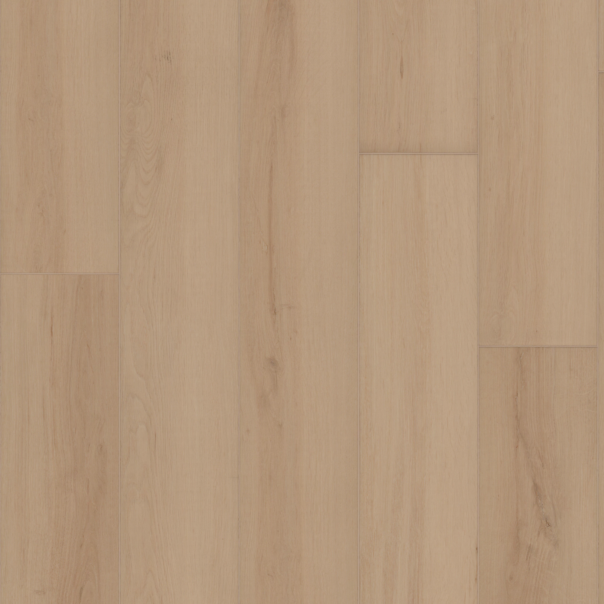 Ambition - in Champagne | Shaw Floors