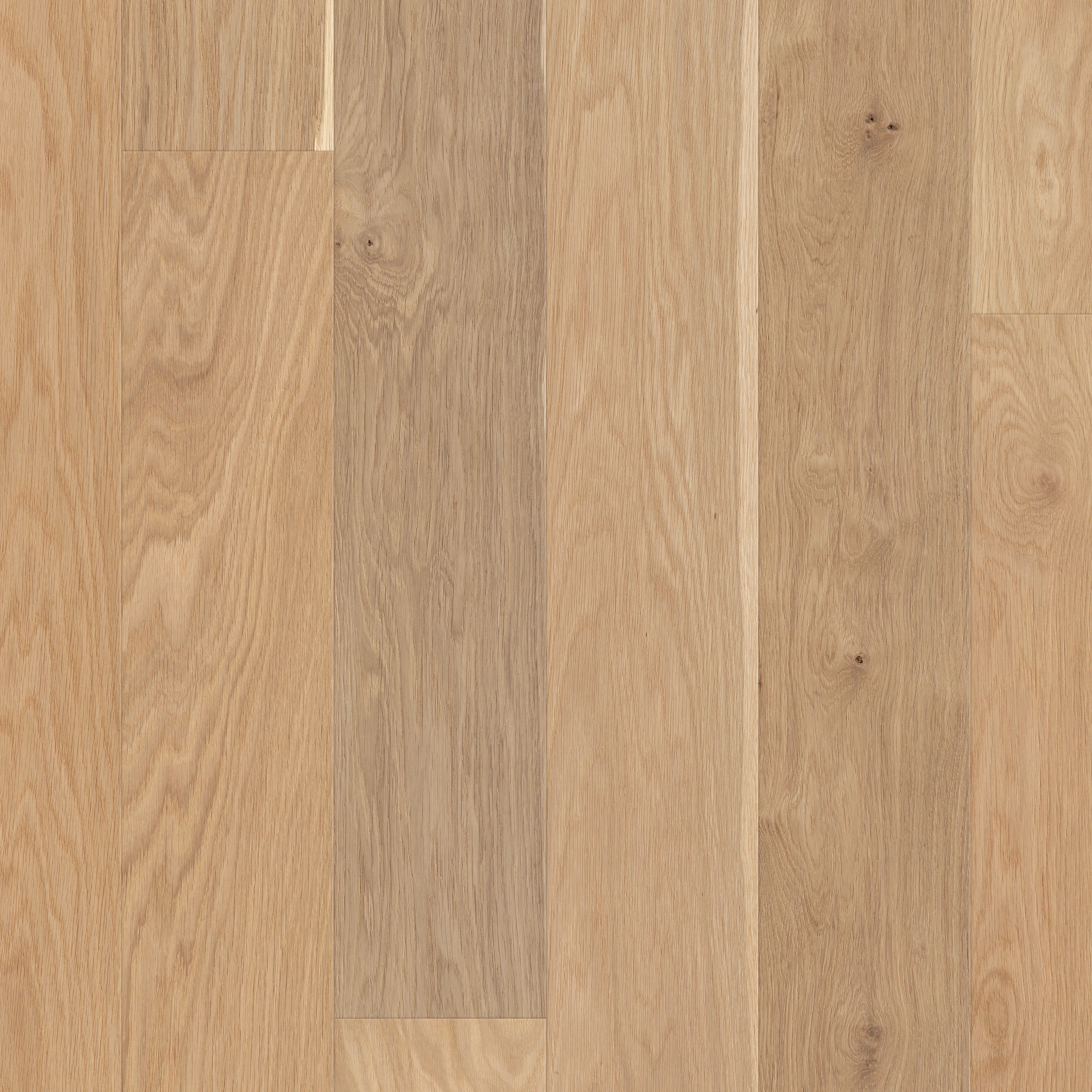 AMERICANA OAK ECLECTIC MAIN