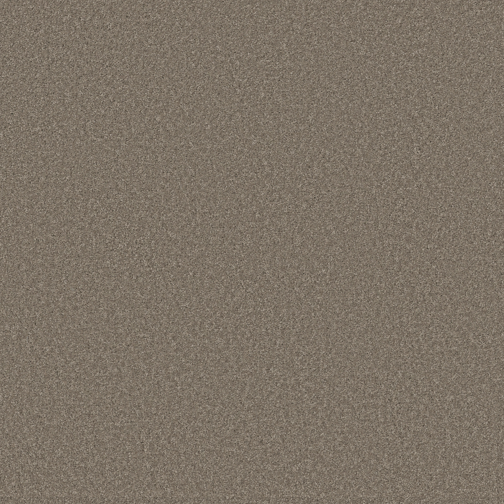 OPPORTUNITY KNOCKS ASHEN MAIN