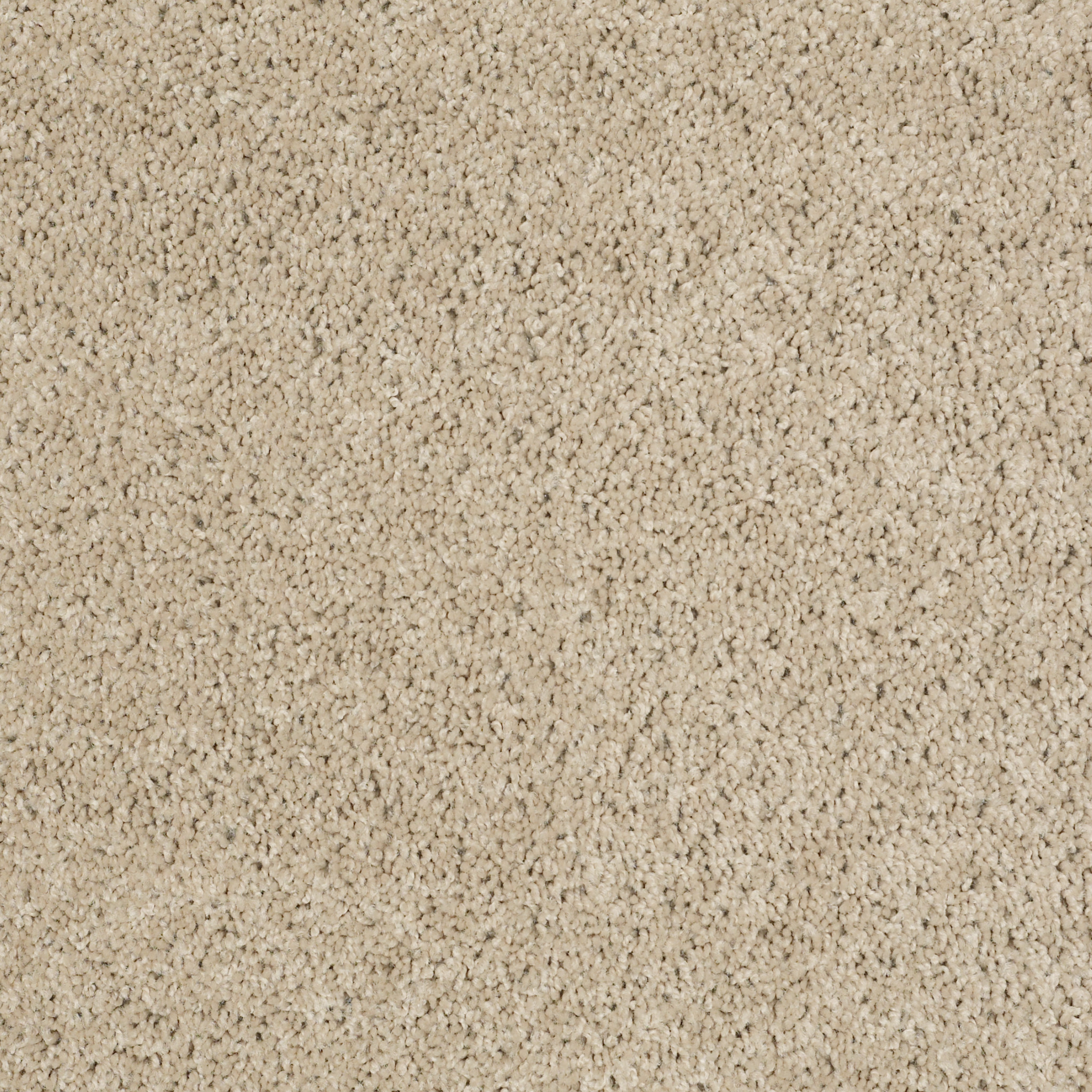 WONDEROUS LIFE (S) MEADOW MIST MAIN