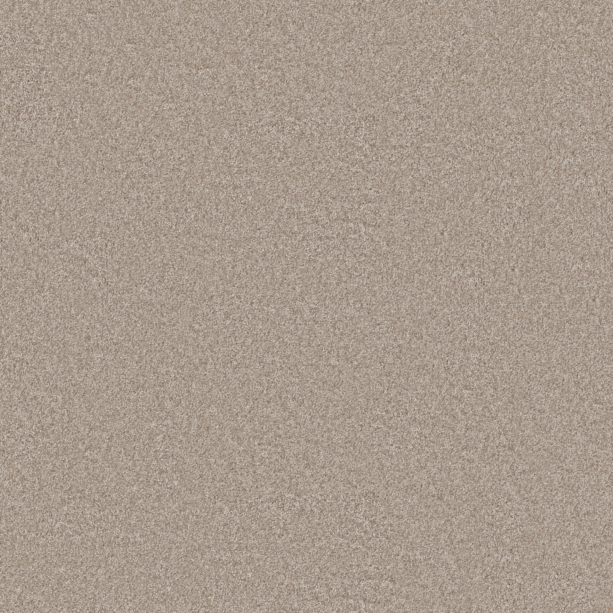 YOU GOT THIS II SUBTLE CLAY MAIN