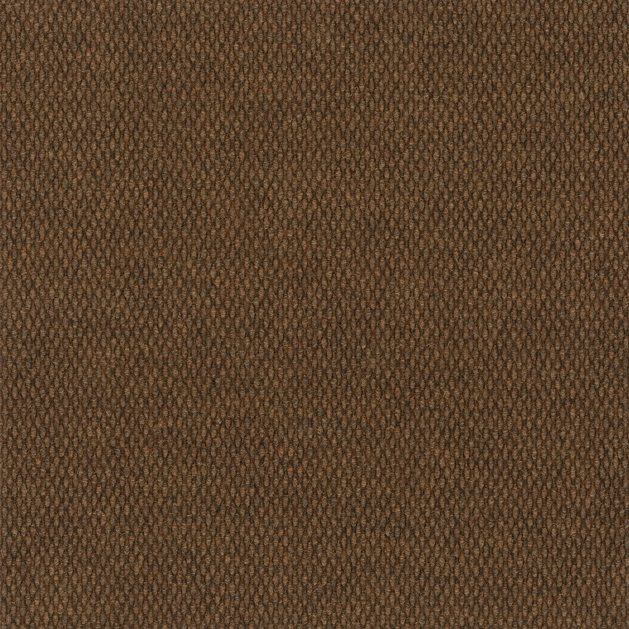 COMMONS-II-54693-CINNABARK-00601-main-image