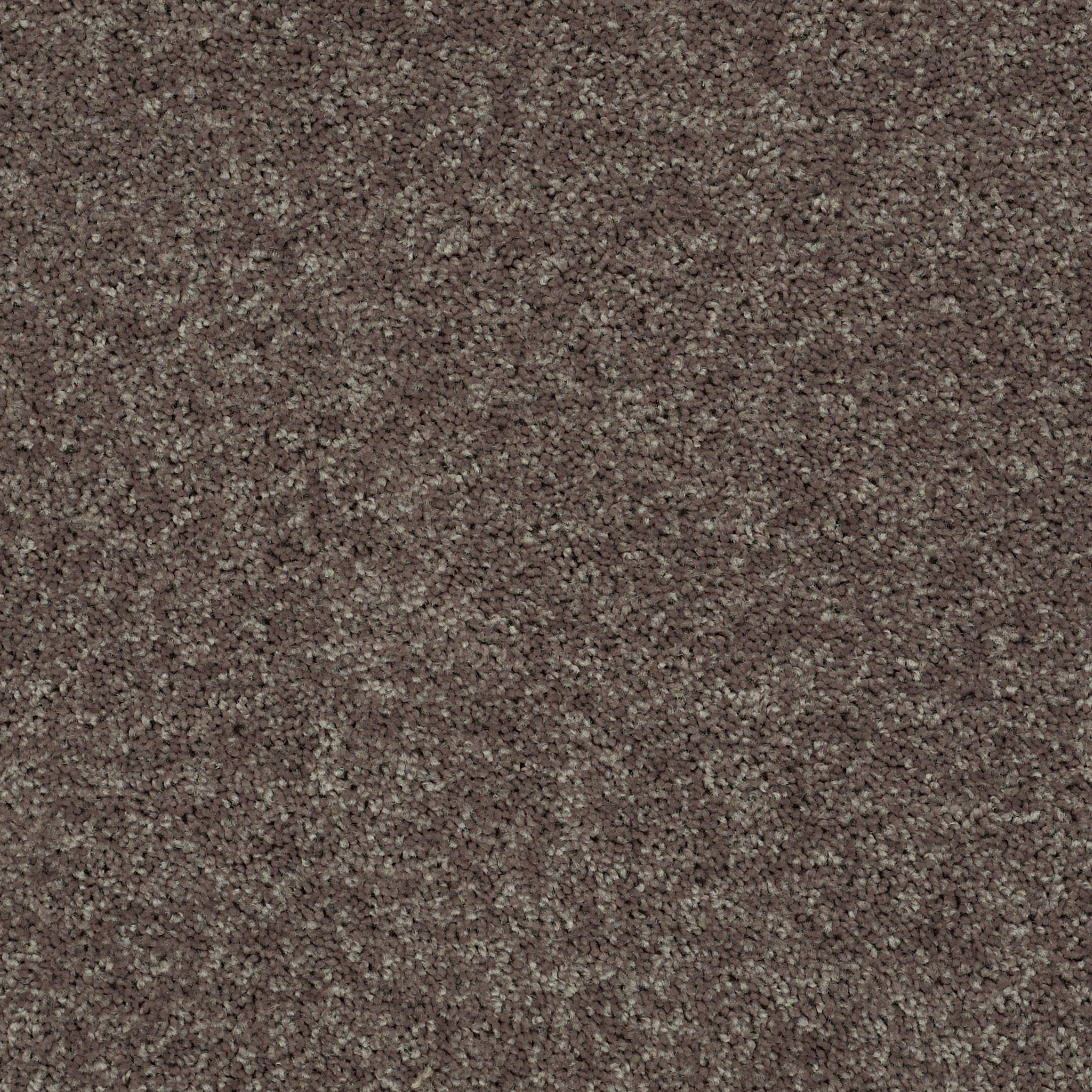 POINT GUARD 12' DRIFTWOOD MAIN