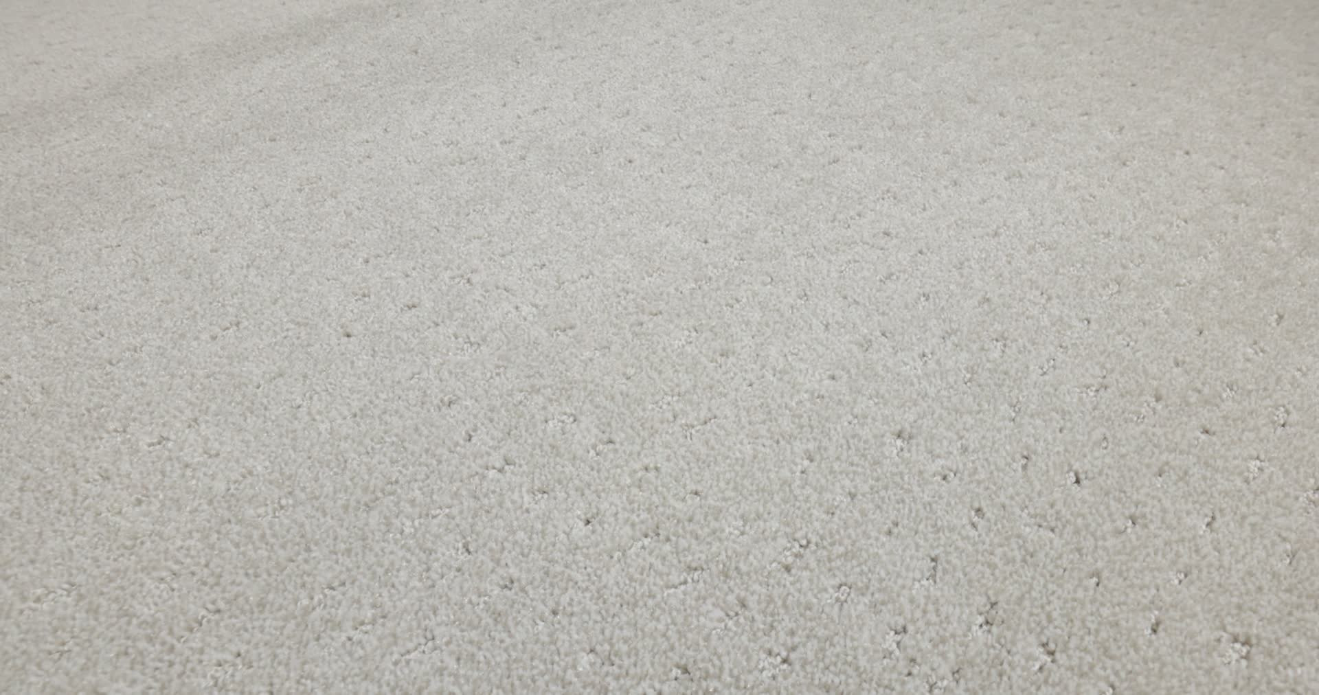 CHIC NUANCE WINTERS DAWN 360PROD