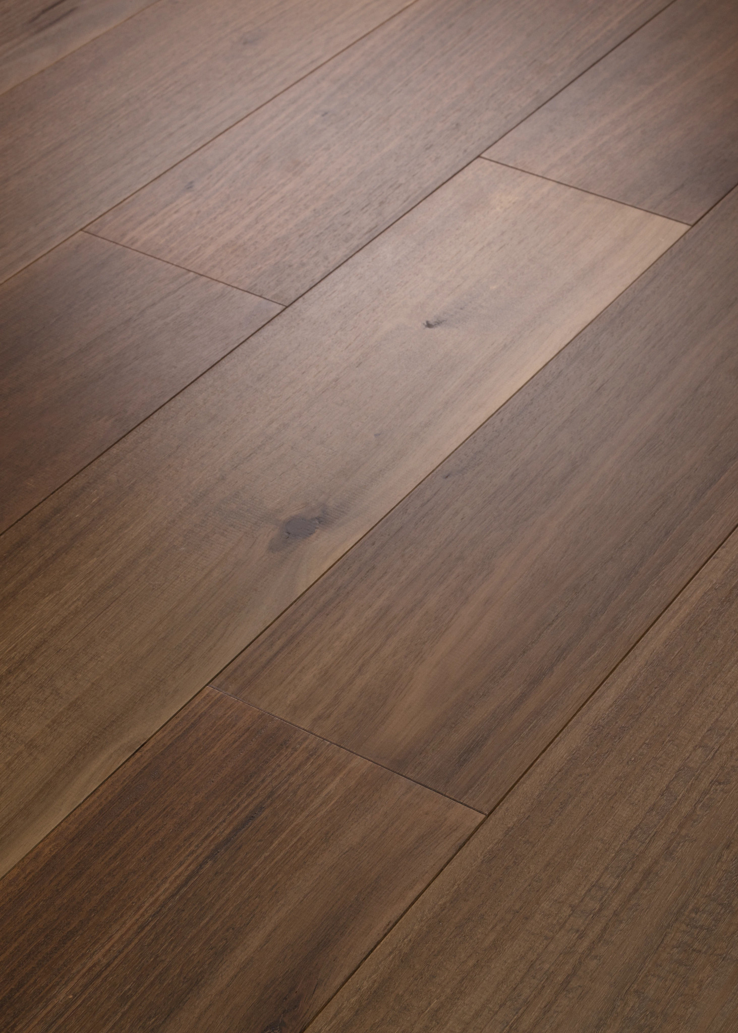 Valencia Walnut RAW UMBER ANGLED