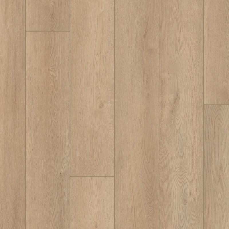 STARTING LINE in Honey Gold by Shaw Floors