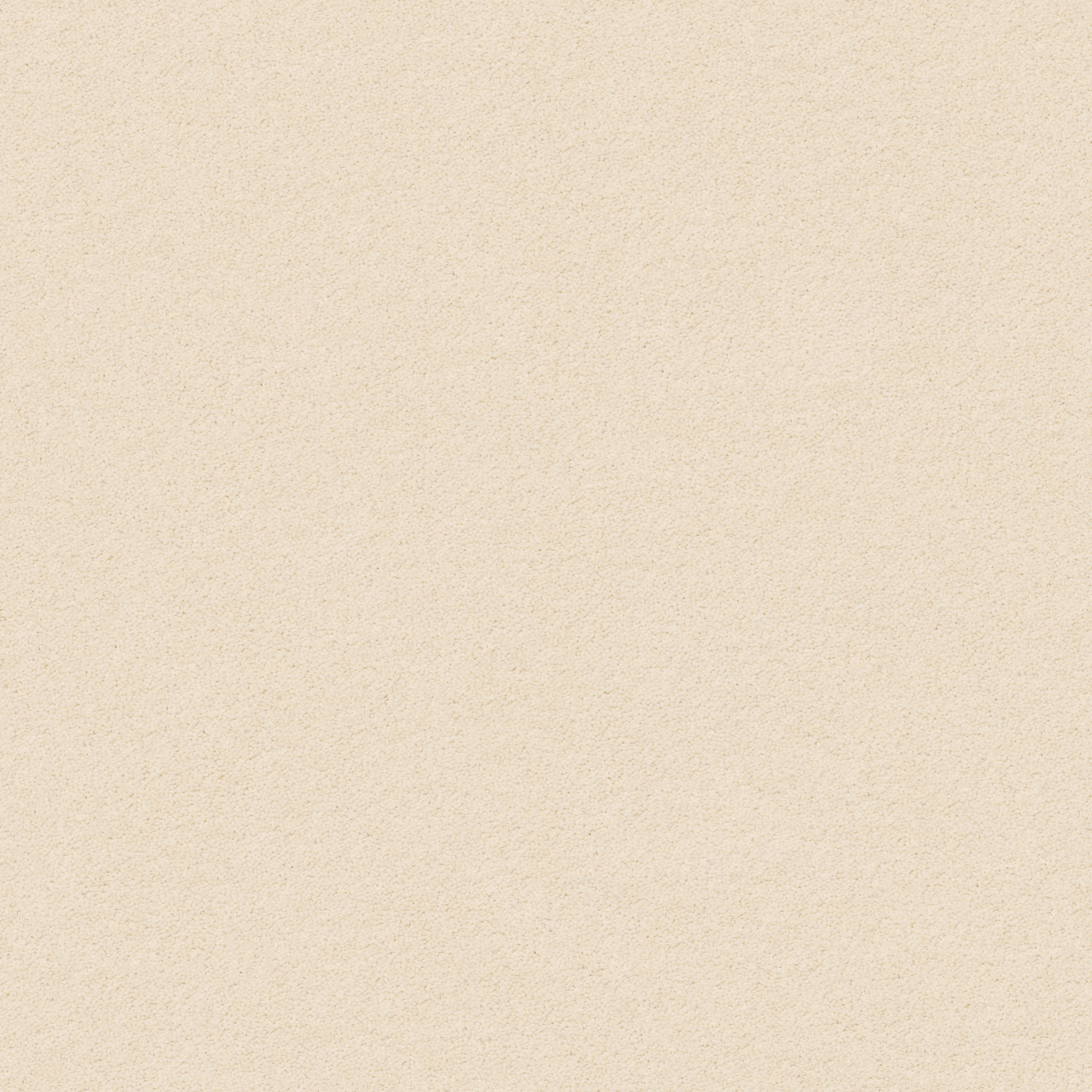 PERFECT CHOICE WINDSWEPT MAIN