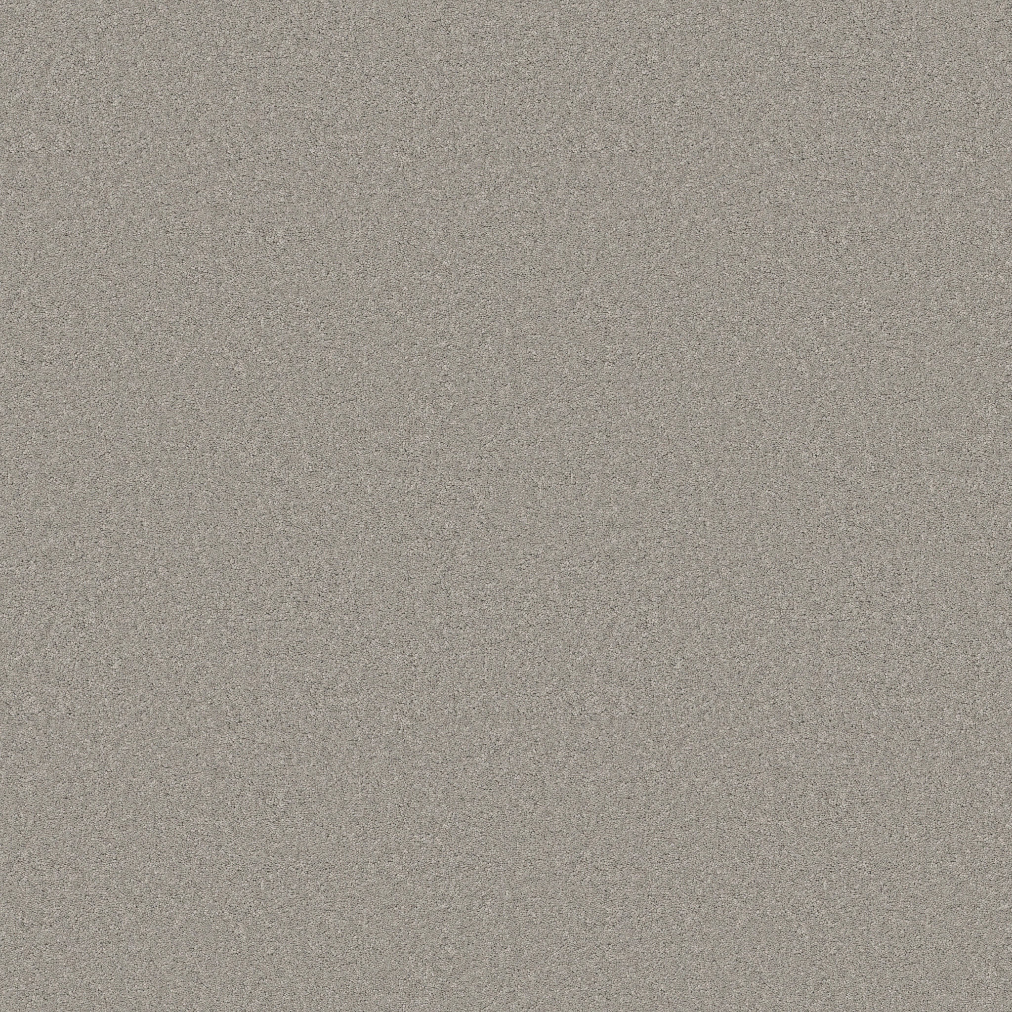 ENDURING CHARM SUMMER RAIN MAIN