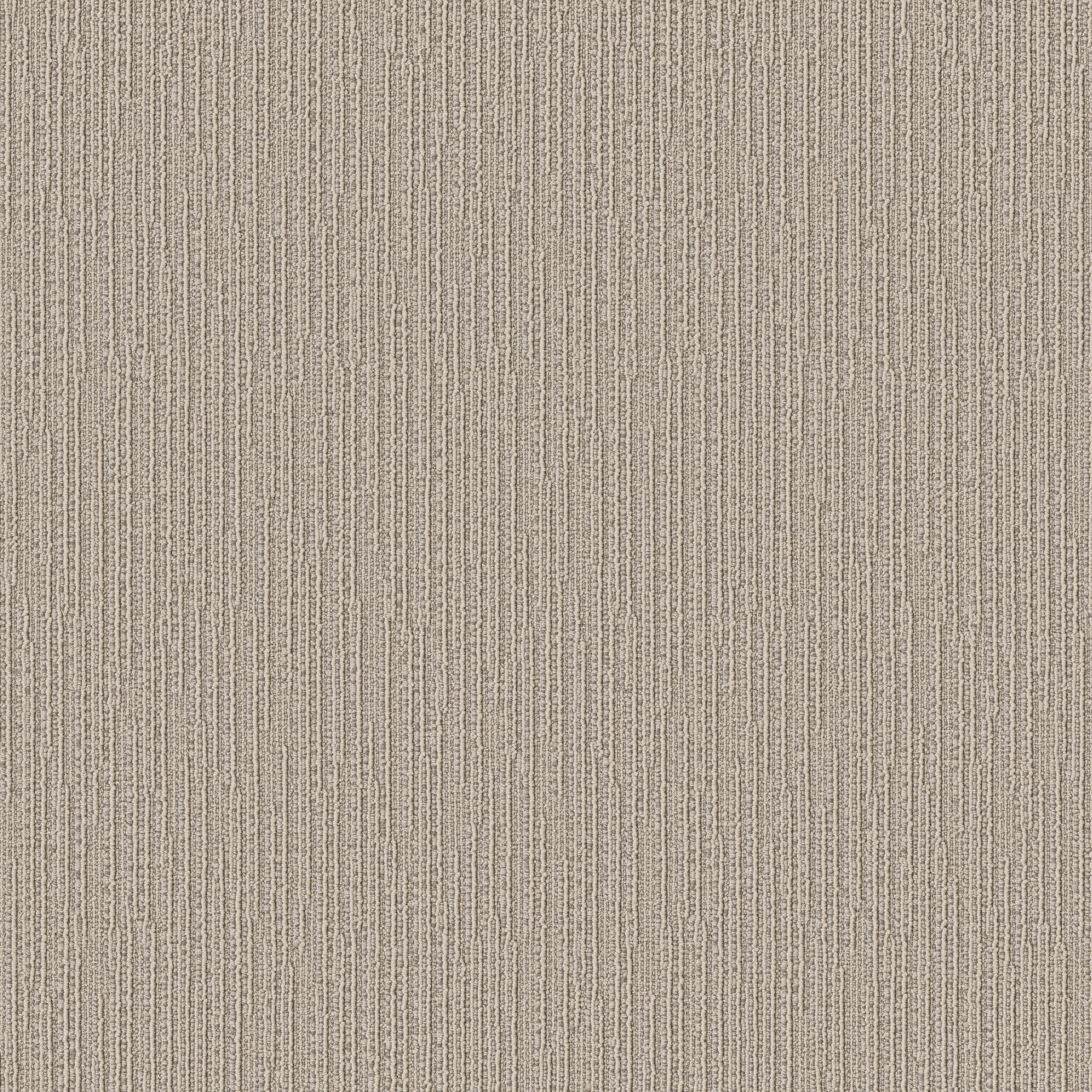 CHASE OYSTER SHELL MAIN