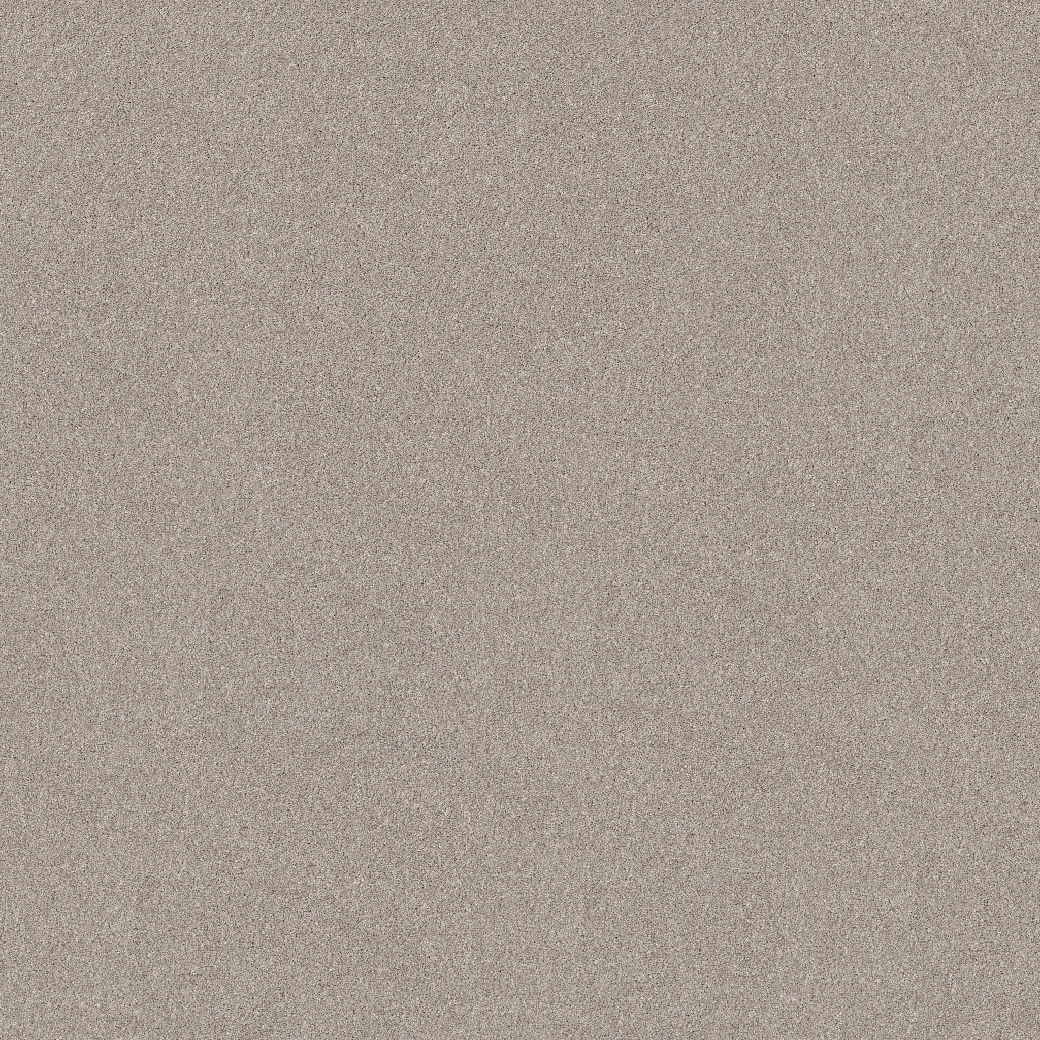 NEW MEMORIES T CHIC TAUPE MAIN