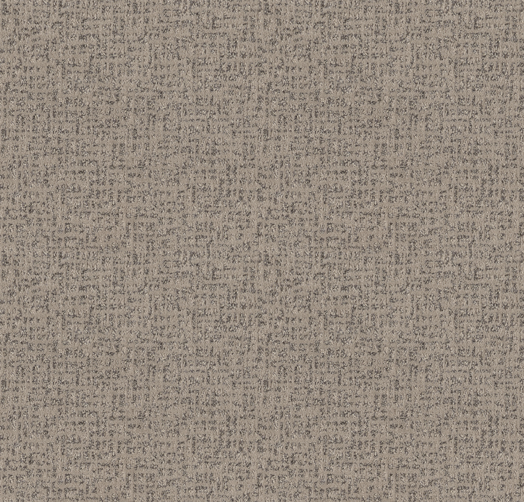 CABOODLE GROUNDED MAIN