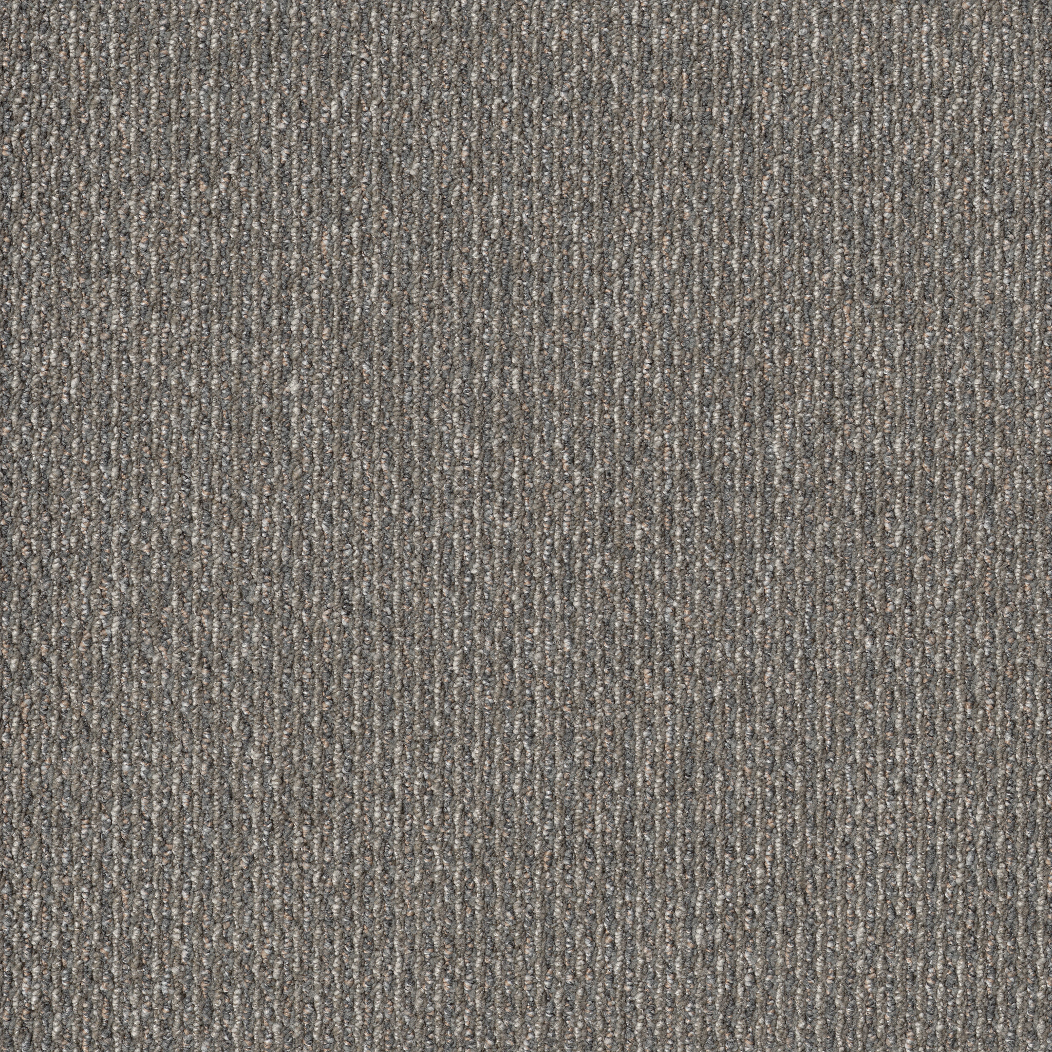 PRELUDE-54990-FORERUNNER-00501-main-image