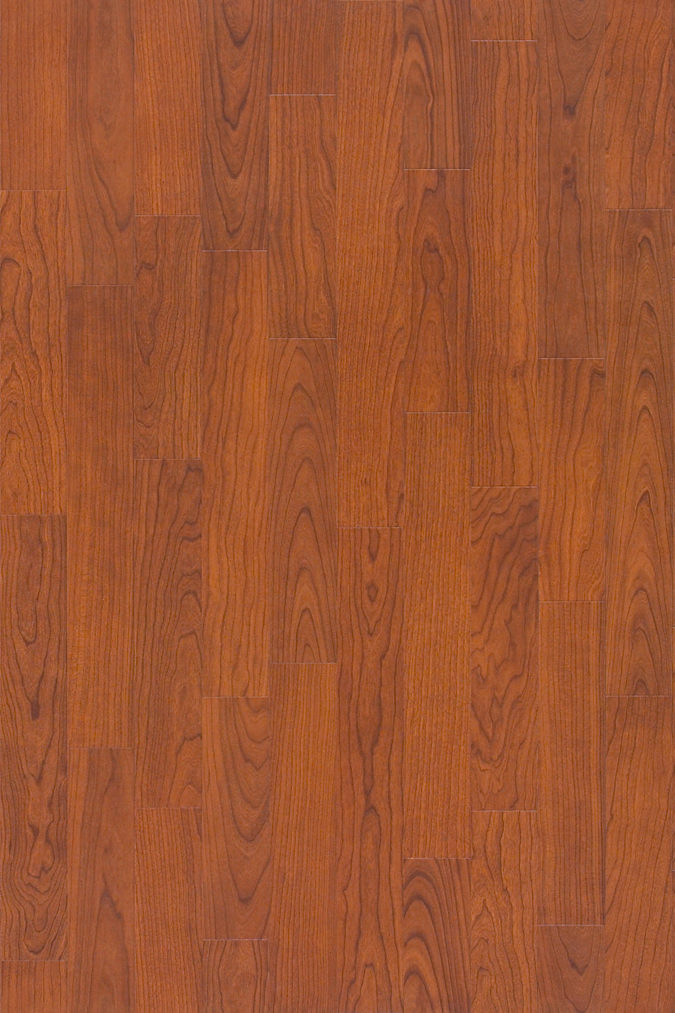 ORGANIC-STRUCTURE-5471V-TANGO-05306-main-image