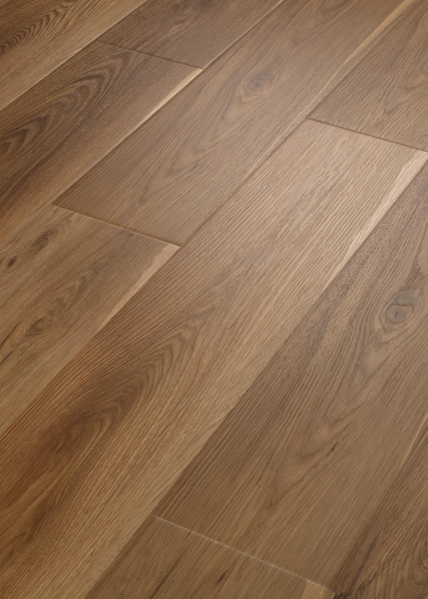 PANTHEON HD+ NATURAL BEVEL OLIVE TREE ANGLED