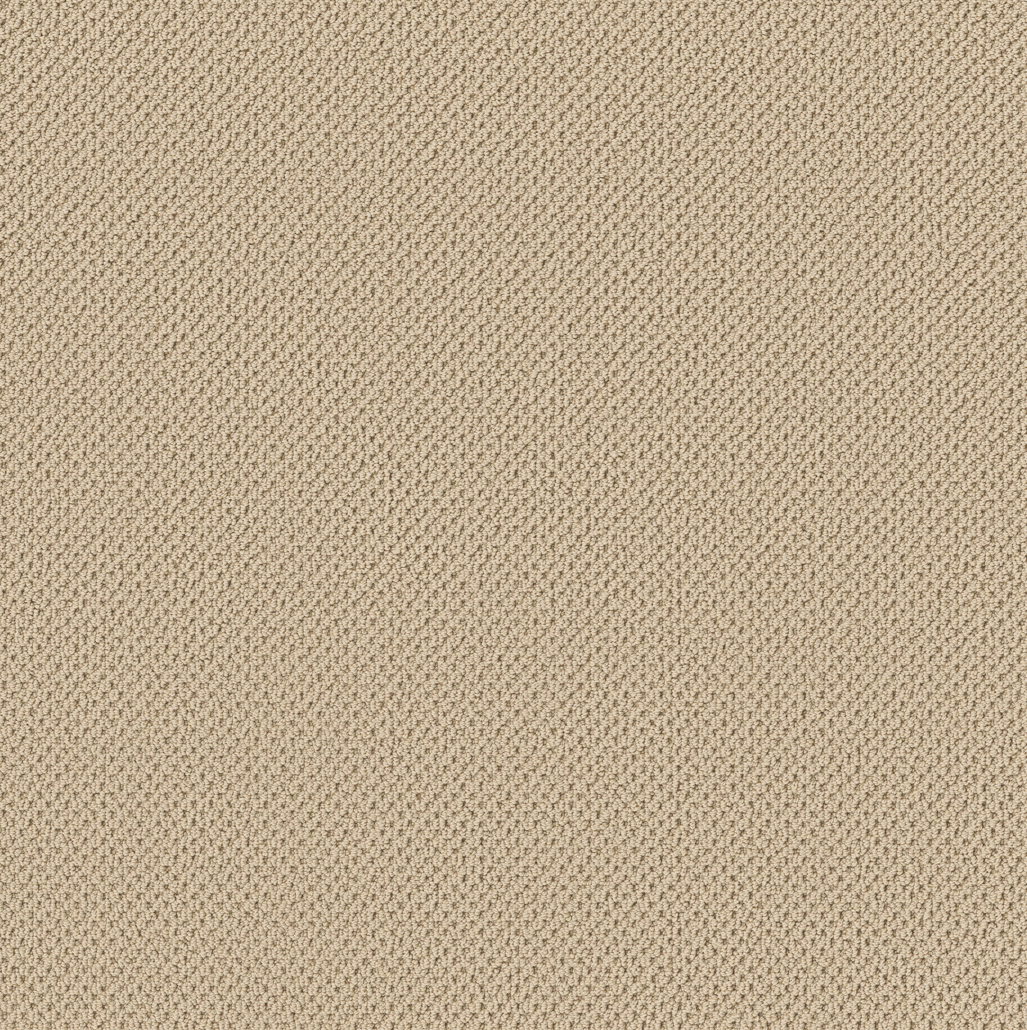 GRACIOUS BAMBOO MAIN