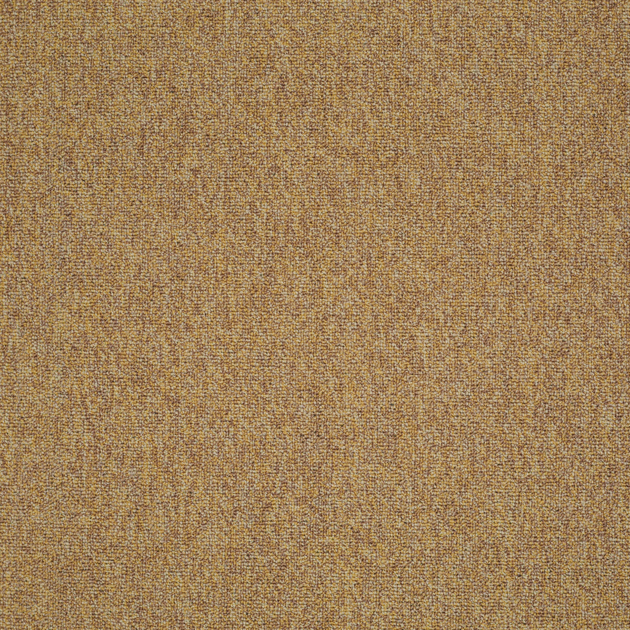 MULTIPLICITY-24X24-54594-EXPANSIVE-00210-main-image